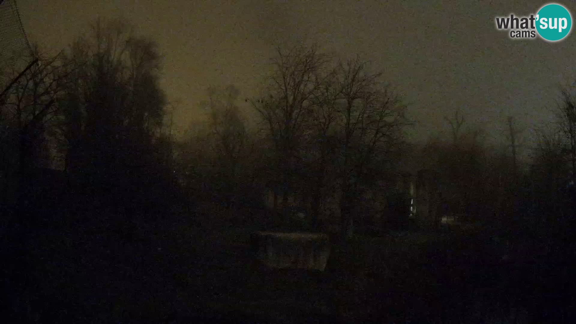 Zoo Zagreb – Löwen