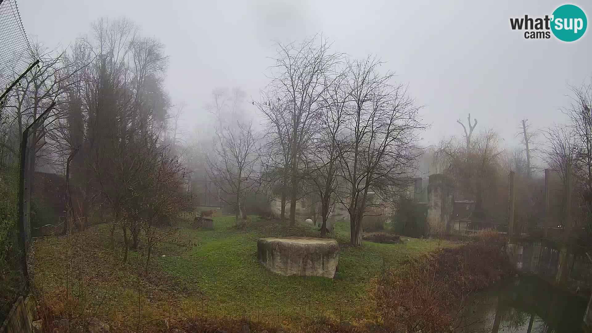 Zoo Zagreb – Löwen