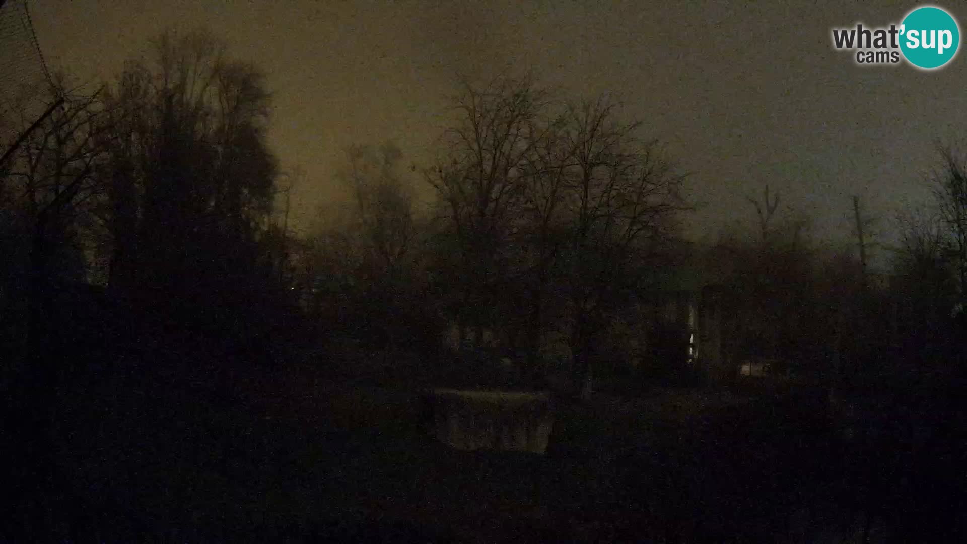 Zoo Zagreb – Leoni