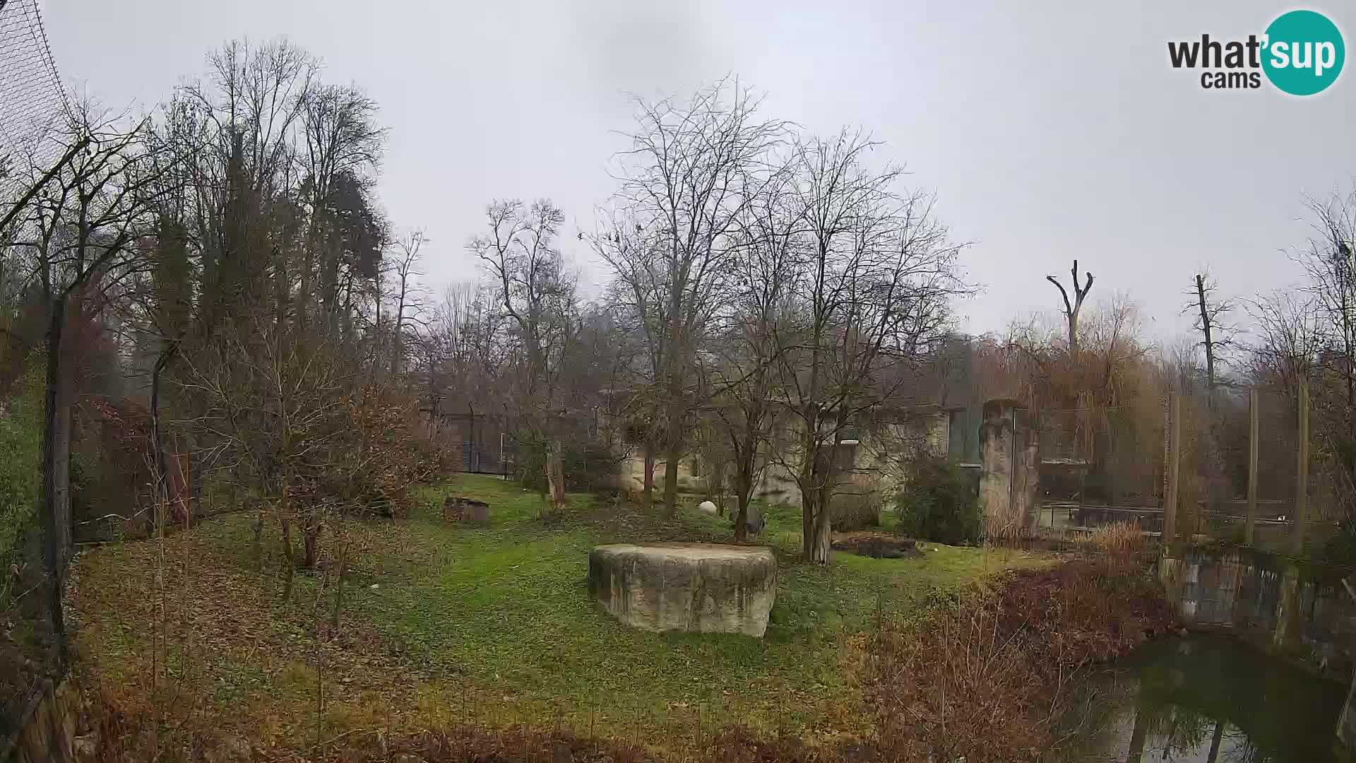 Zoo Zagreb – Leoni