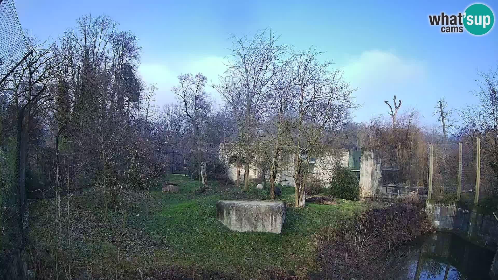 Zoo Zagreb – Lavovi