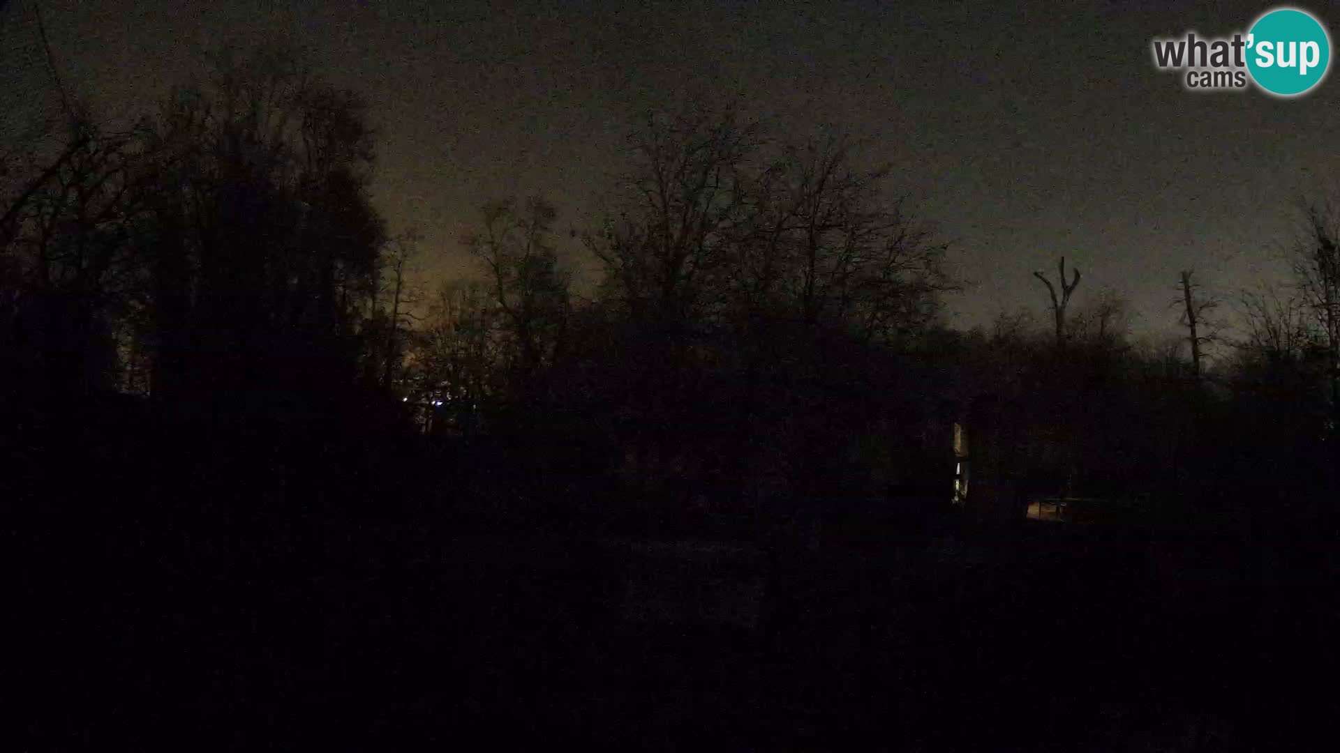 Zoo Zagreb – Leones