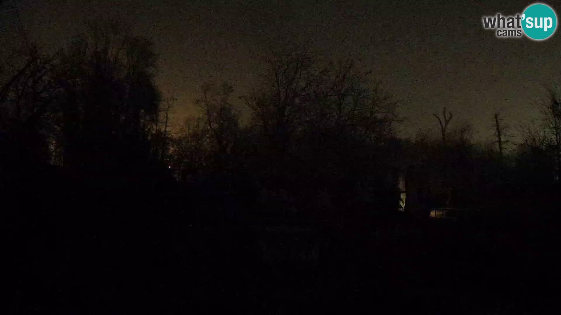 Zoo Zagreb – Leoni