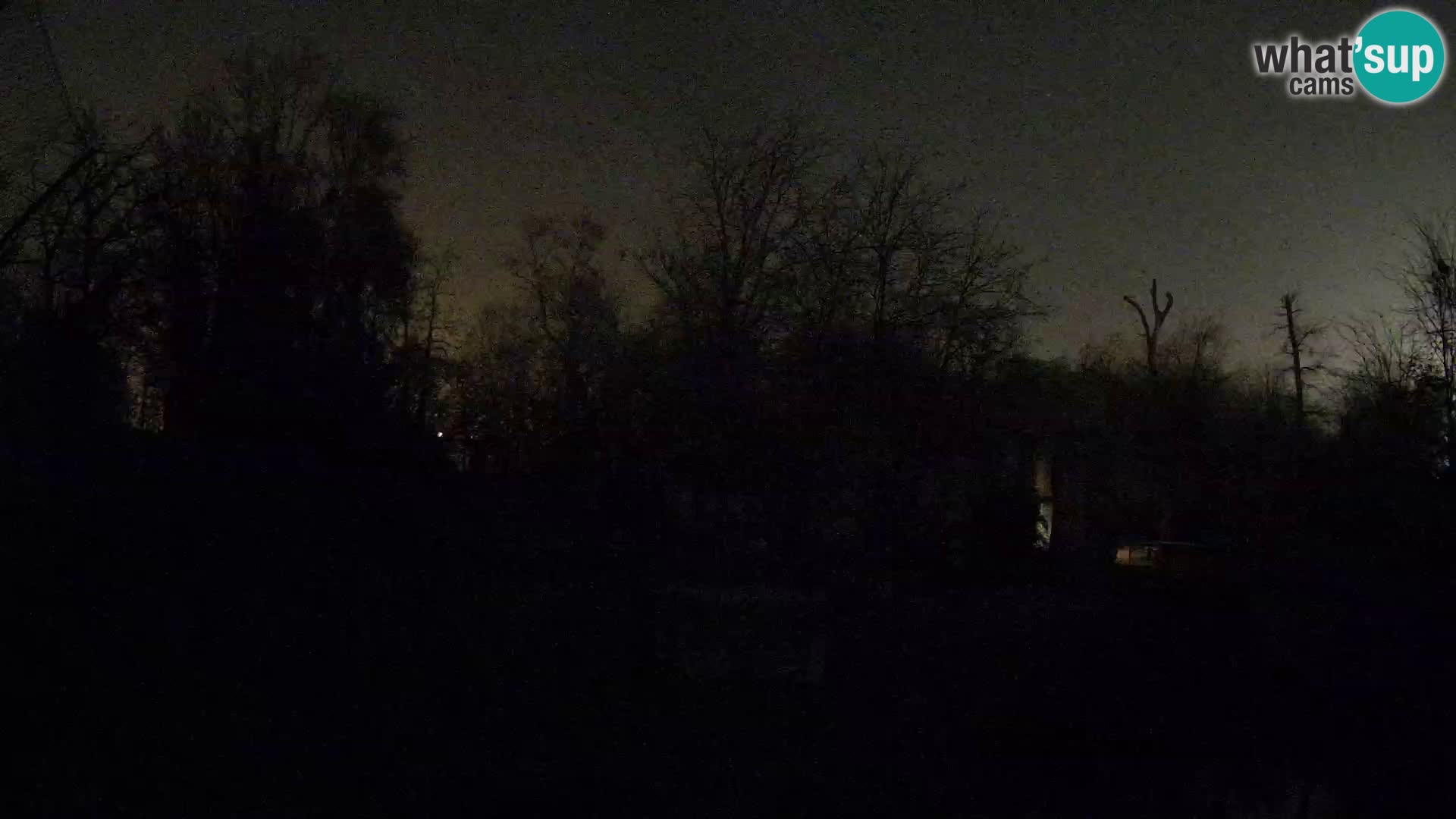 Zoo Zagreb – Löwen