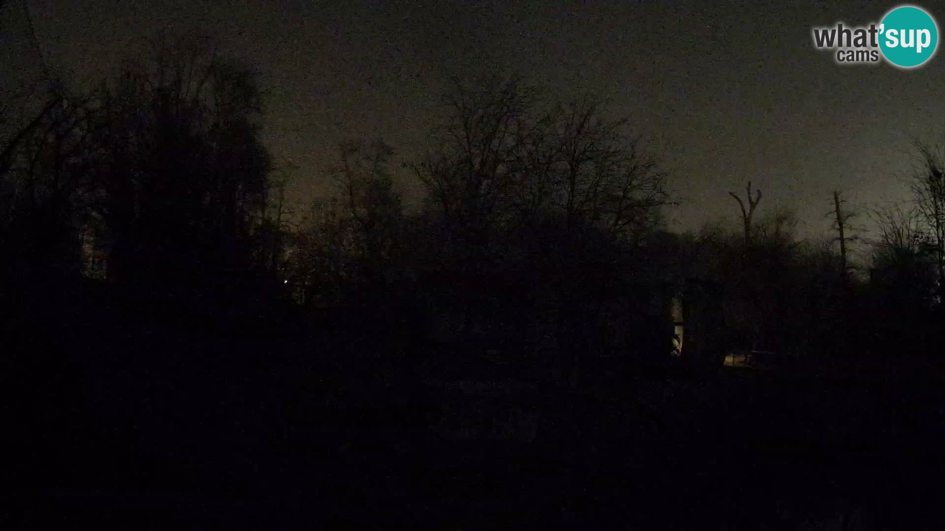 Spletna kamera Zoo Zagreb – Levi