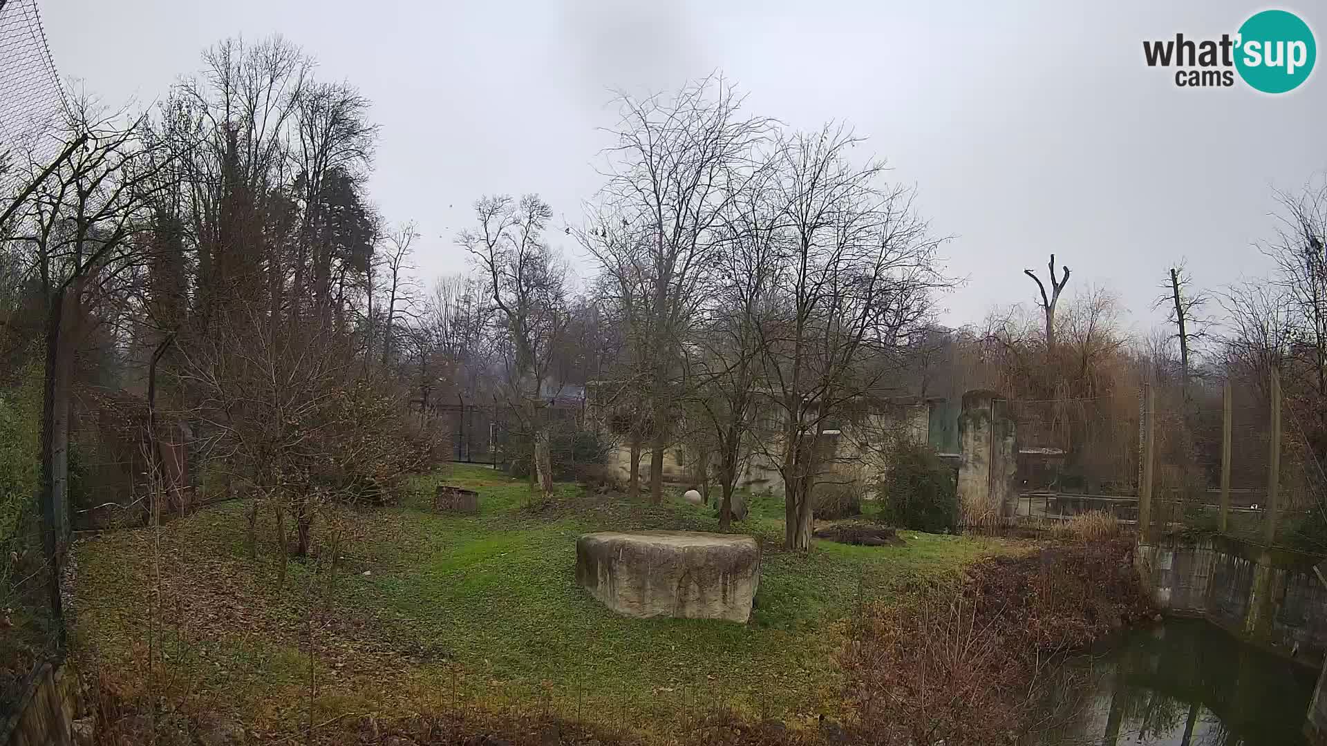 Zoo Zagreb – Leones