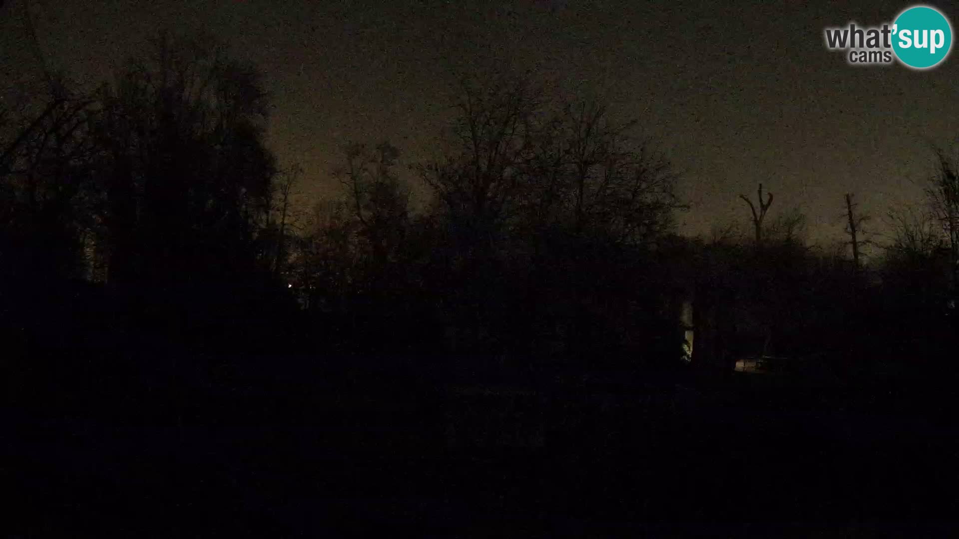 Zoo Zagreb – Leones