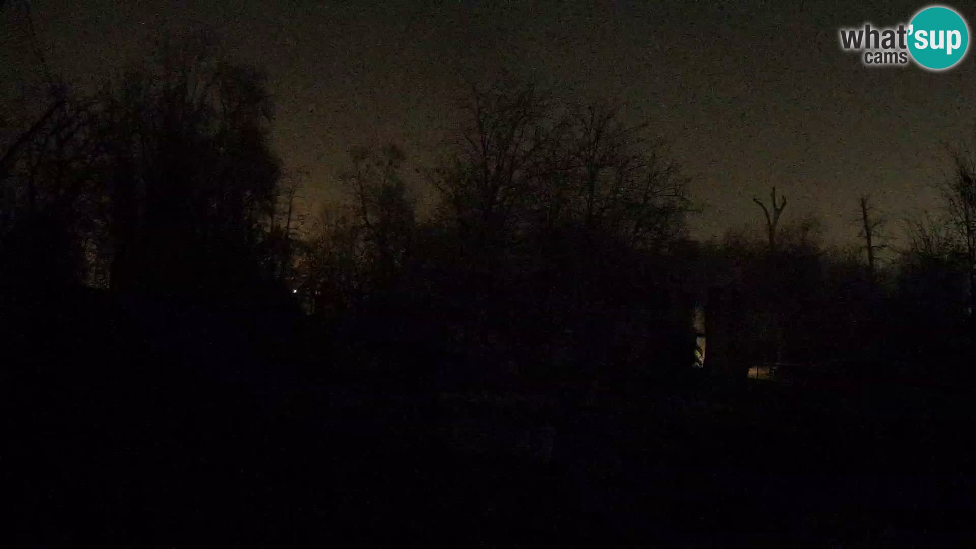 Spletna kamera Zoo Zagreb – Levi