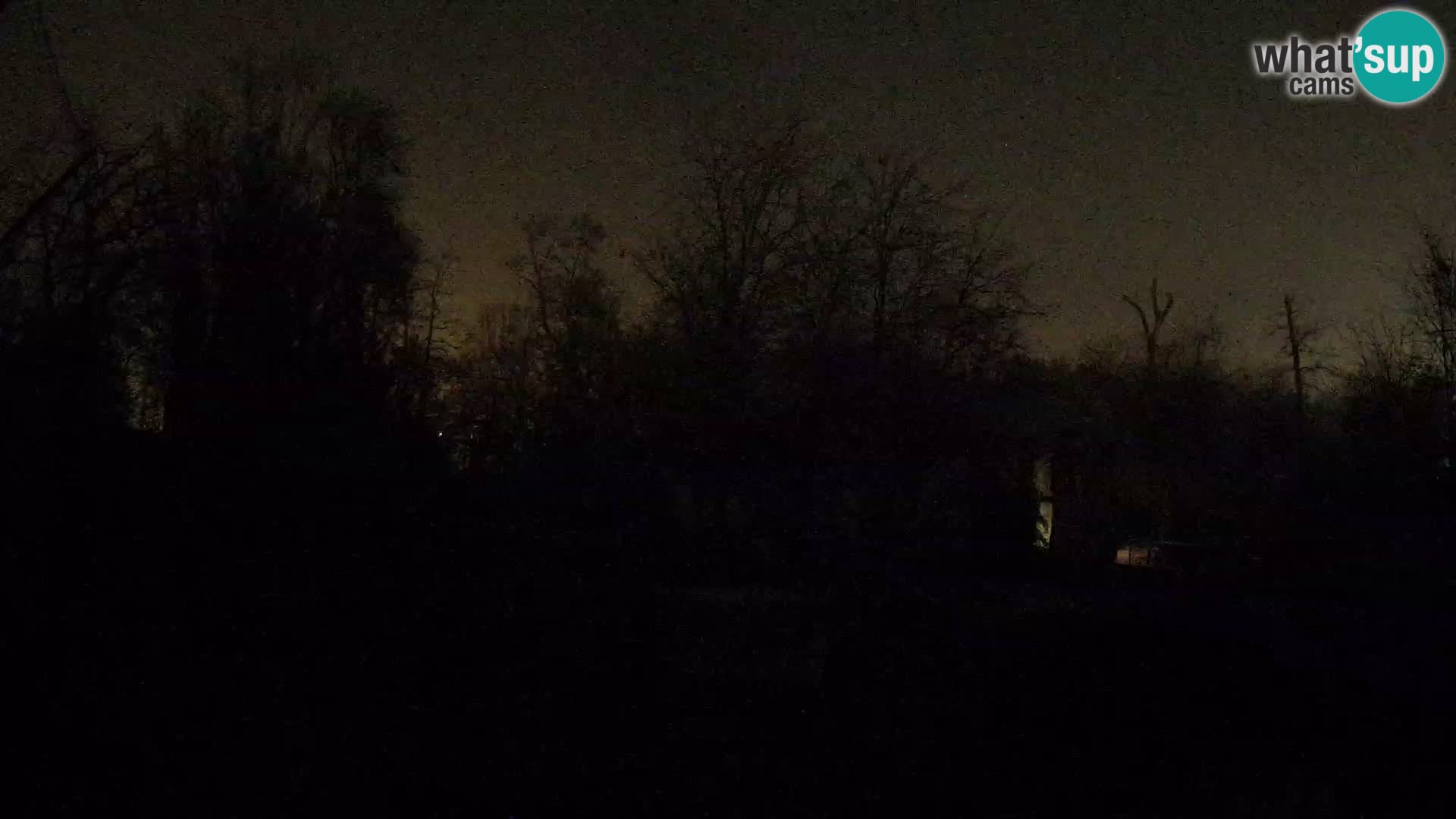 Spletna kamera Zoo Zagreb – Levi