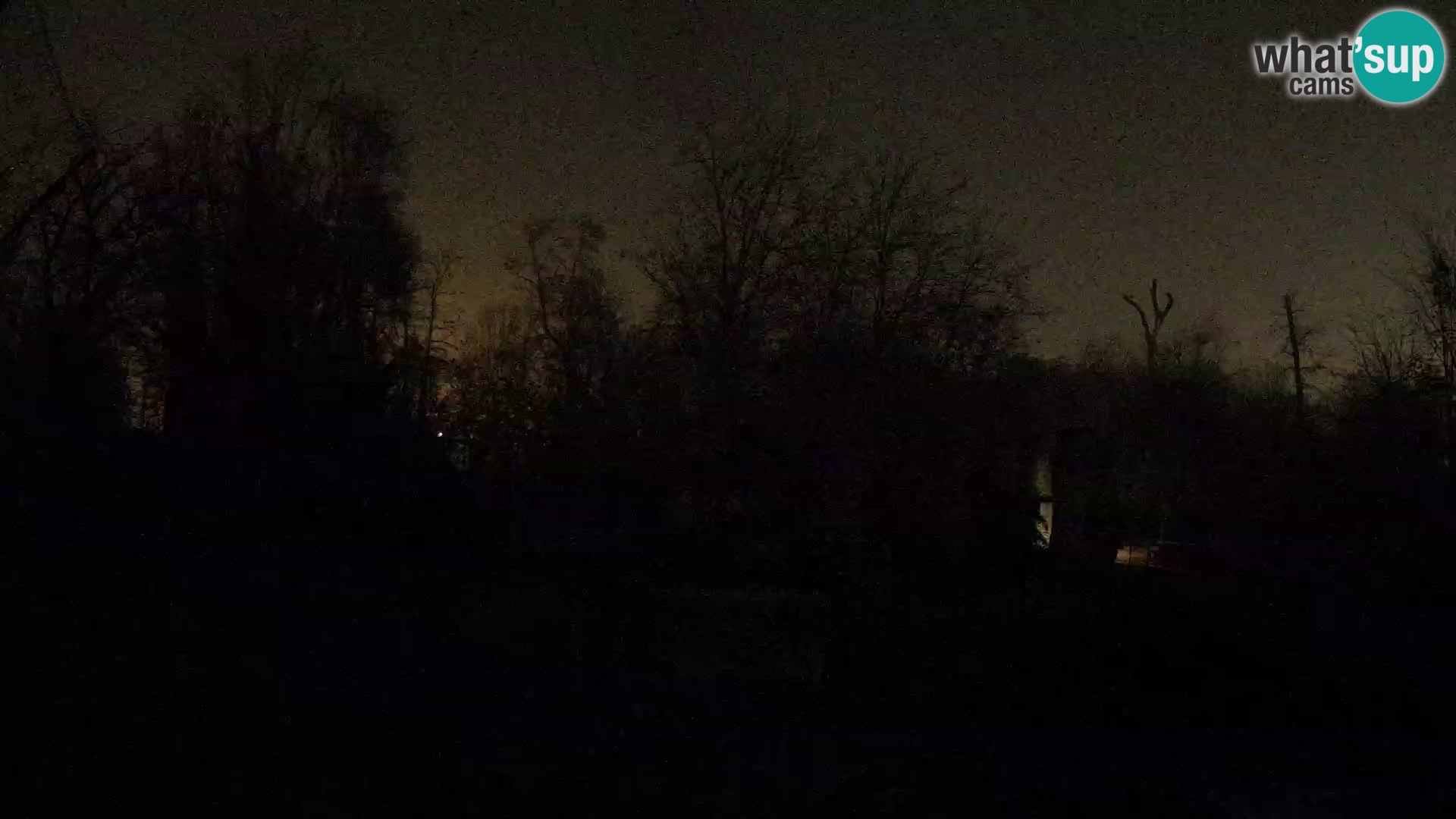 Zoo Zagreb – Löwen