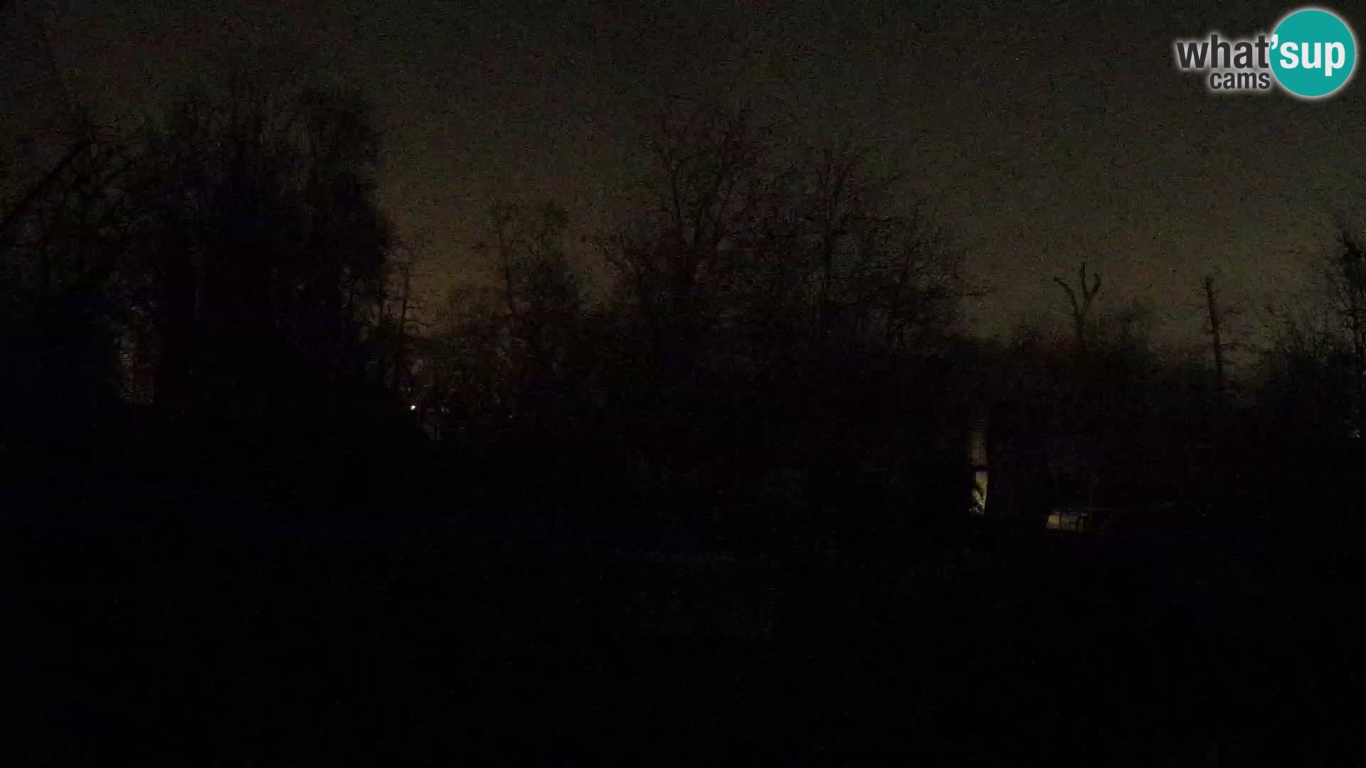 Zoo Zagreb – Leones