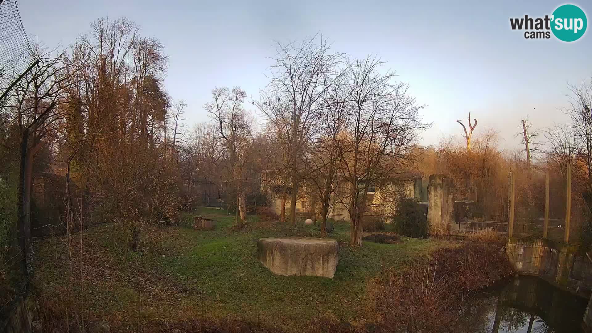 Spletna kamera Zoo Zagreb – Levi