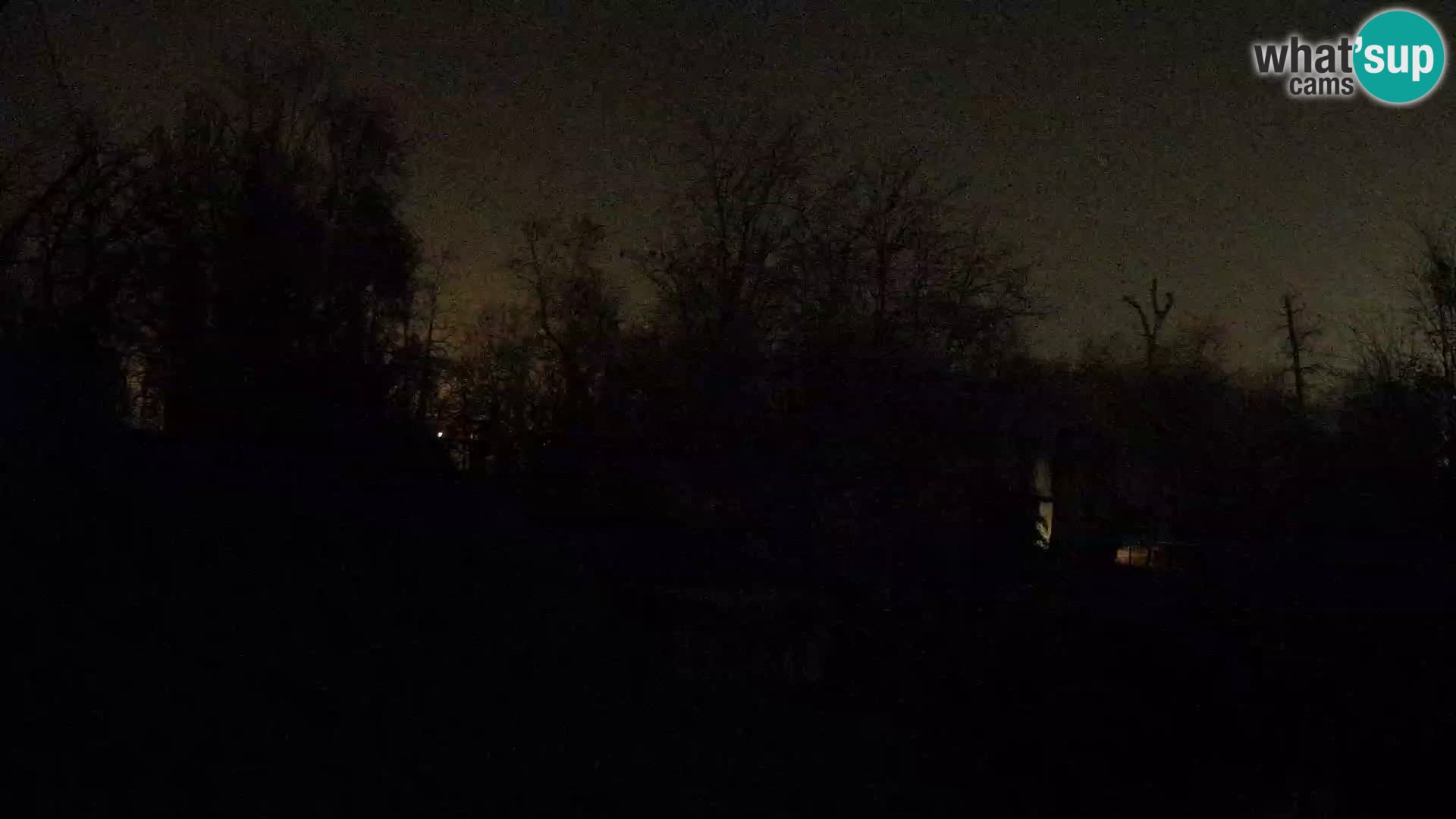 Zoo Zagreb – Löwen