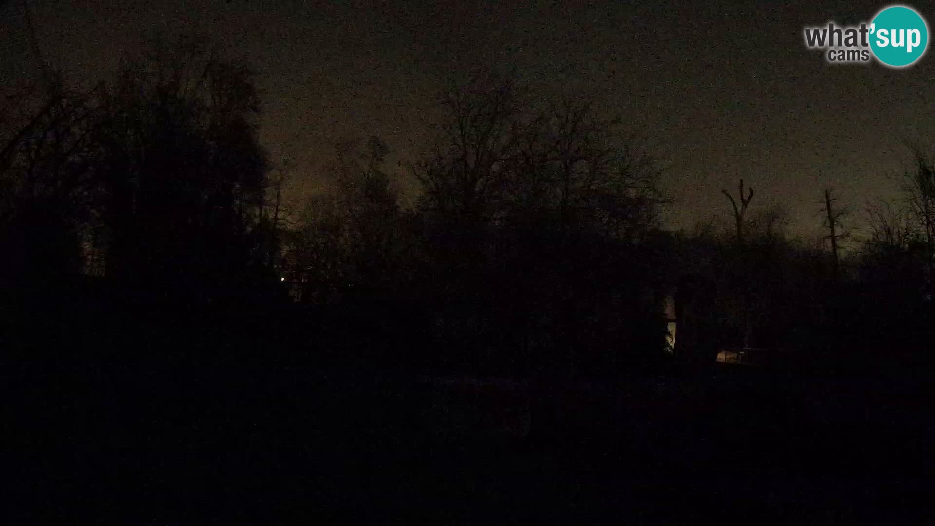 Spletna kamera Zoo Zagreb – Levi