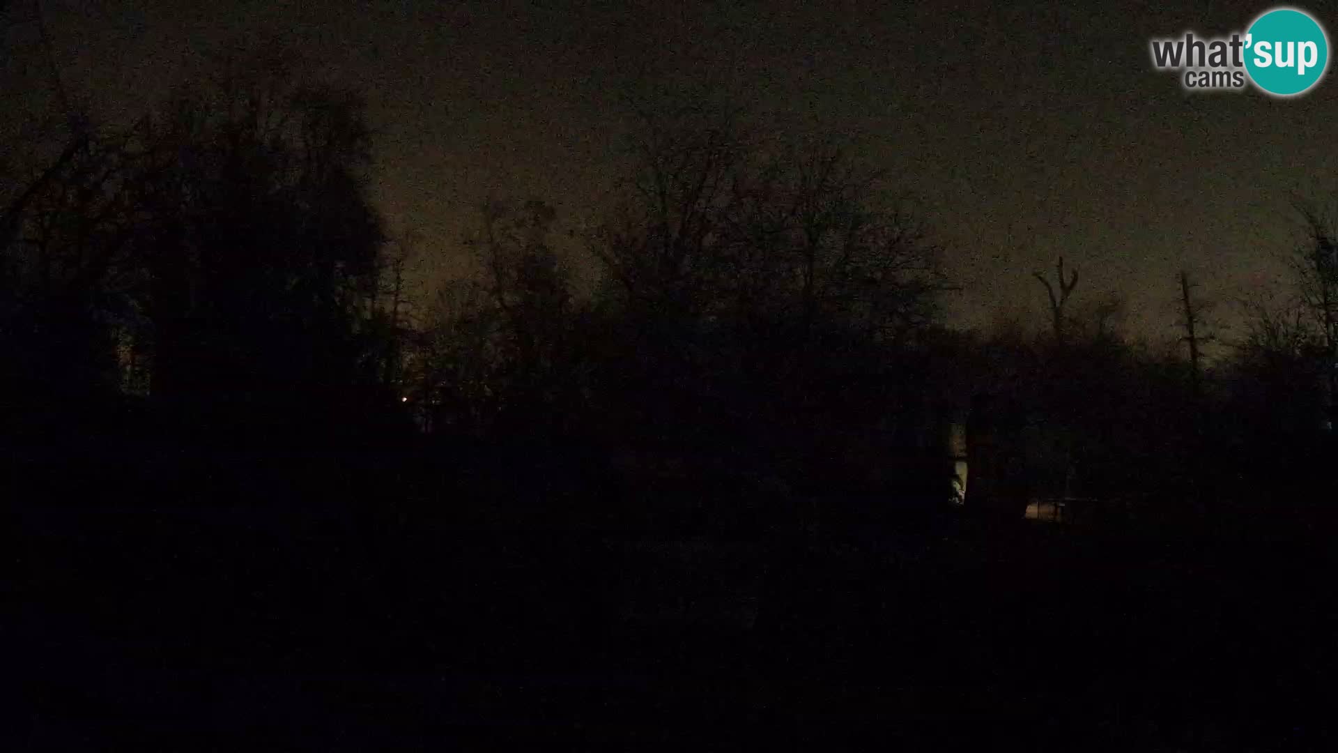 Zoo Zagreb – Leoni