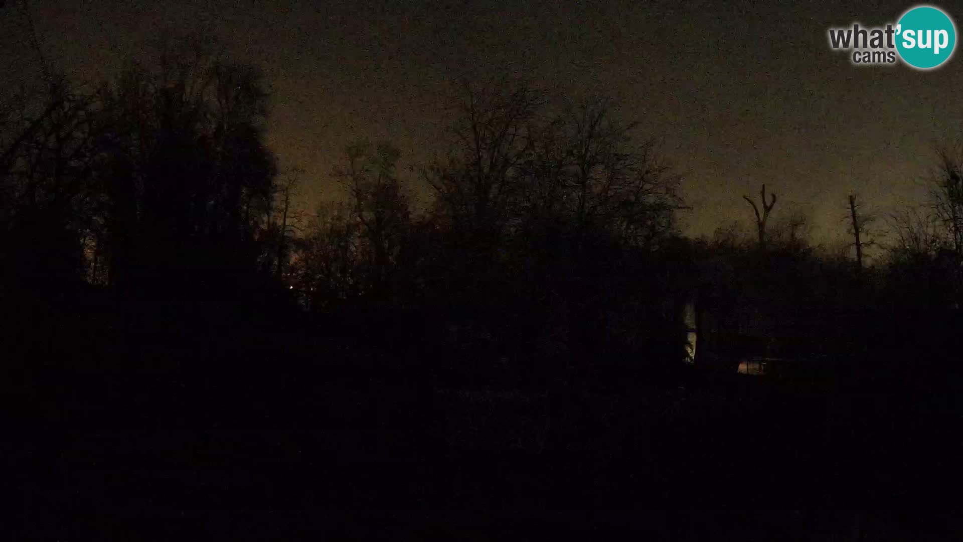 Zoo Zagreb – Löwen