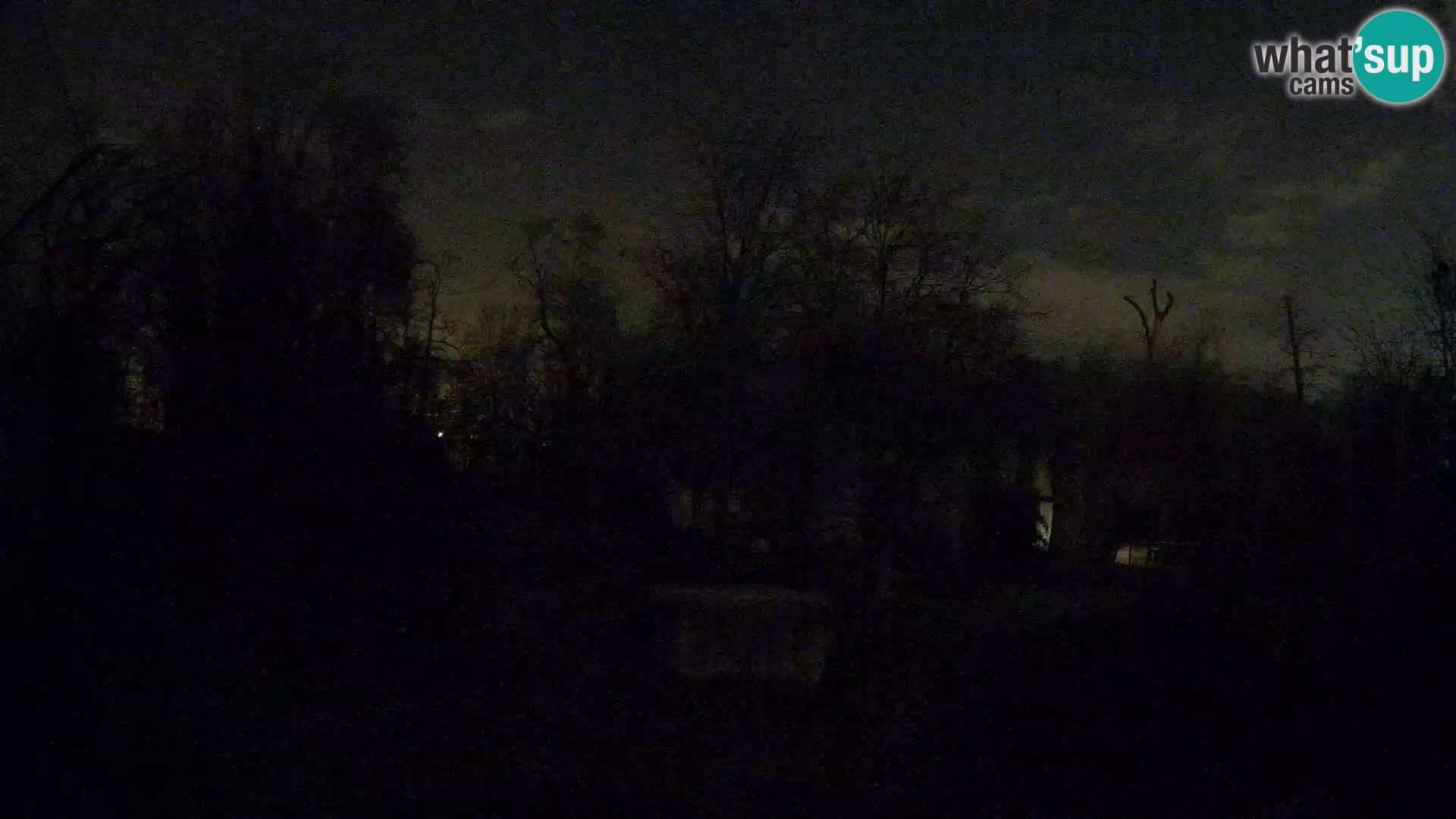 Zoo Zagreb – Löwen