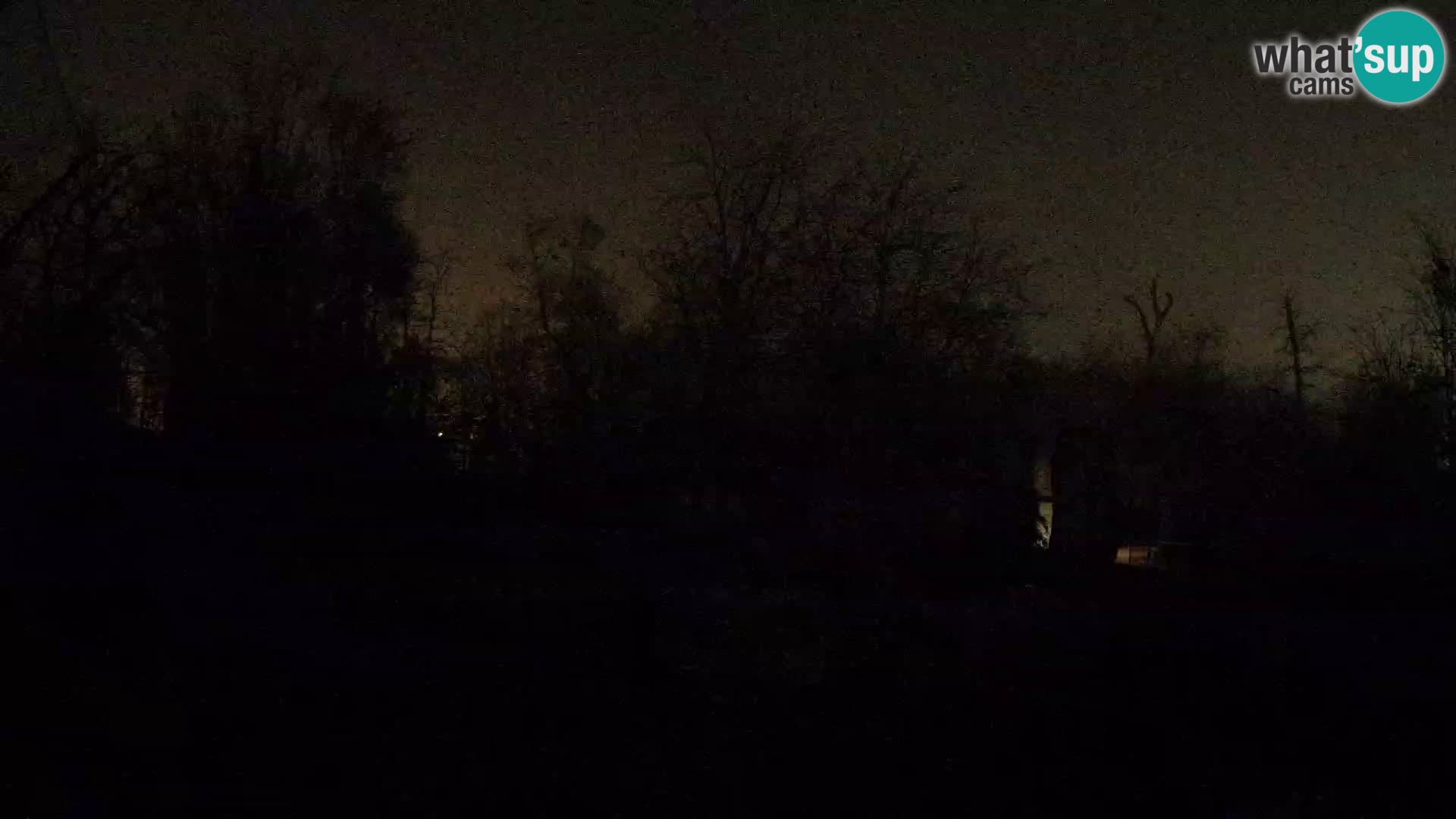 Zoo Zagreb – Leoni