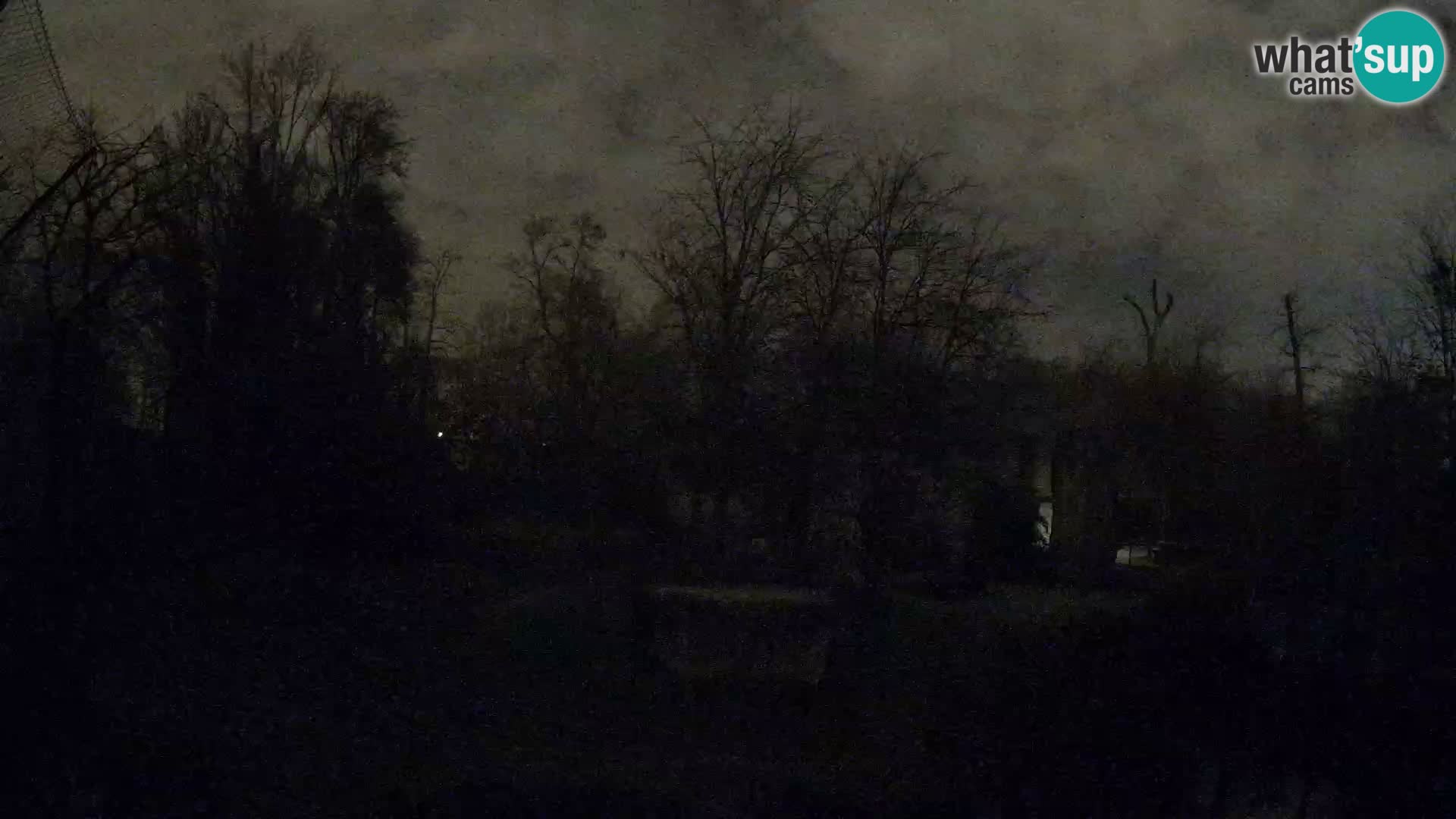 Zoo Zagreb – Leoni