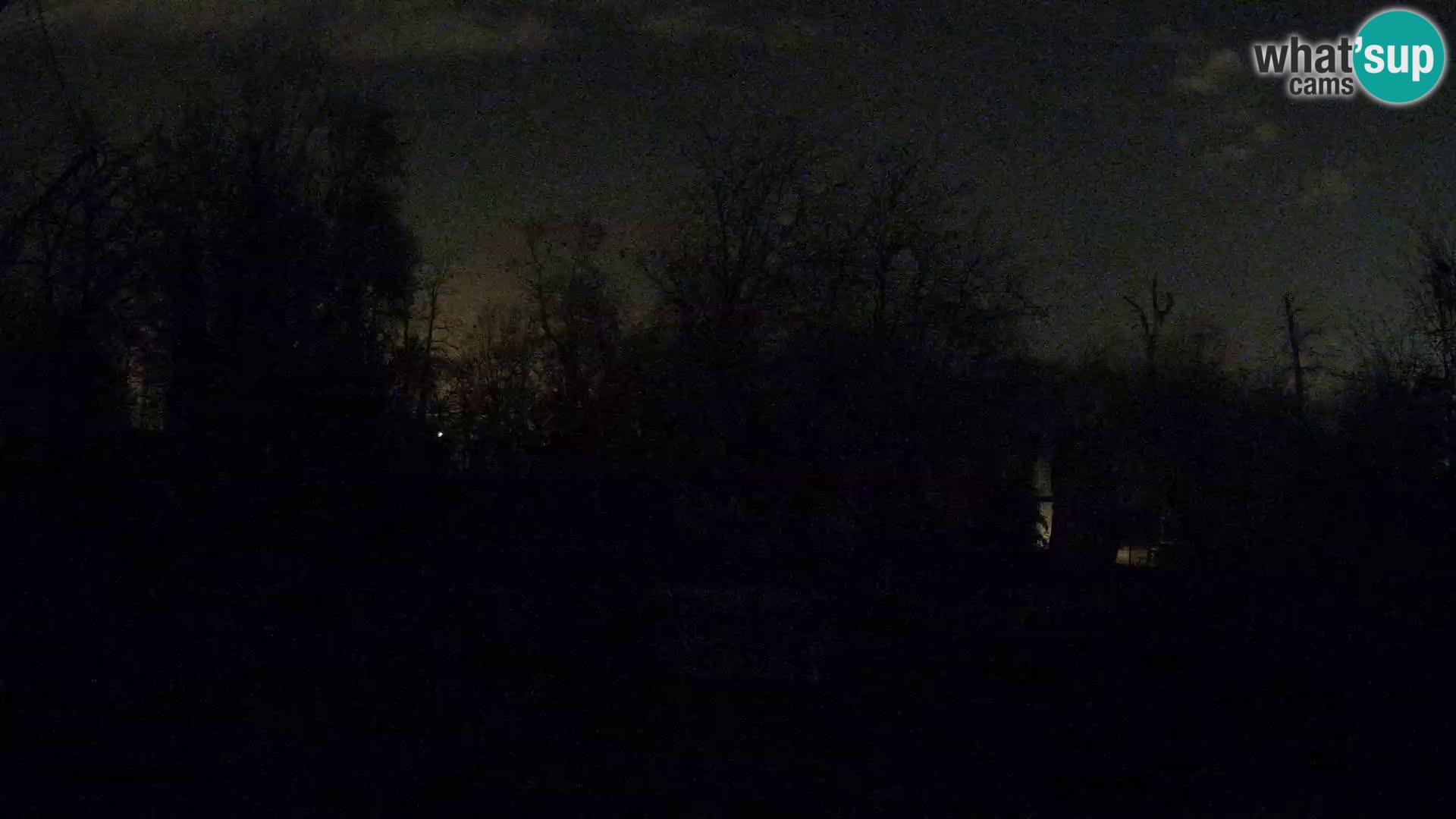 Zoo Zagreb – Leoni