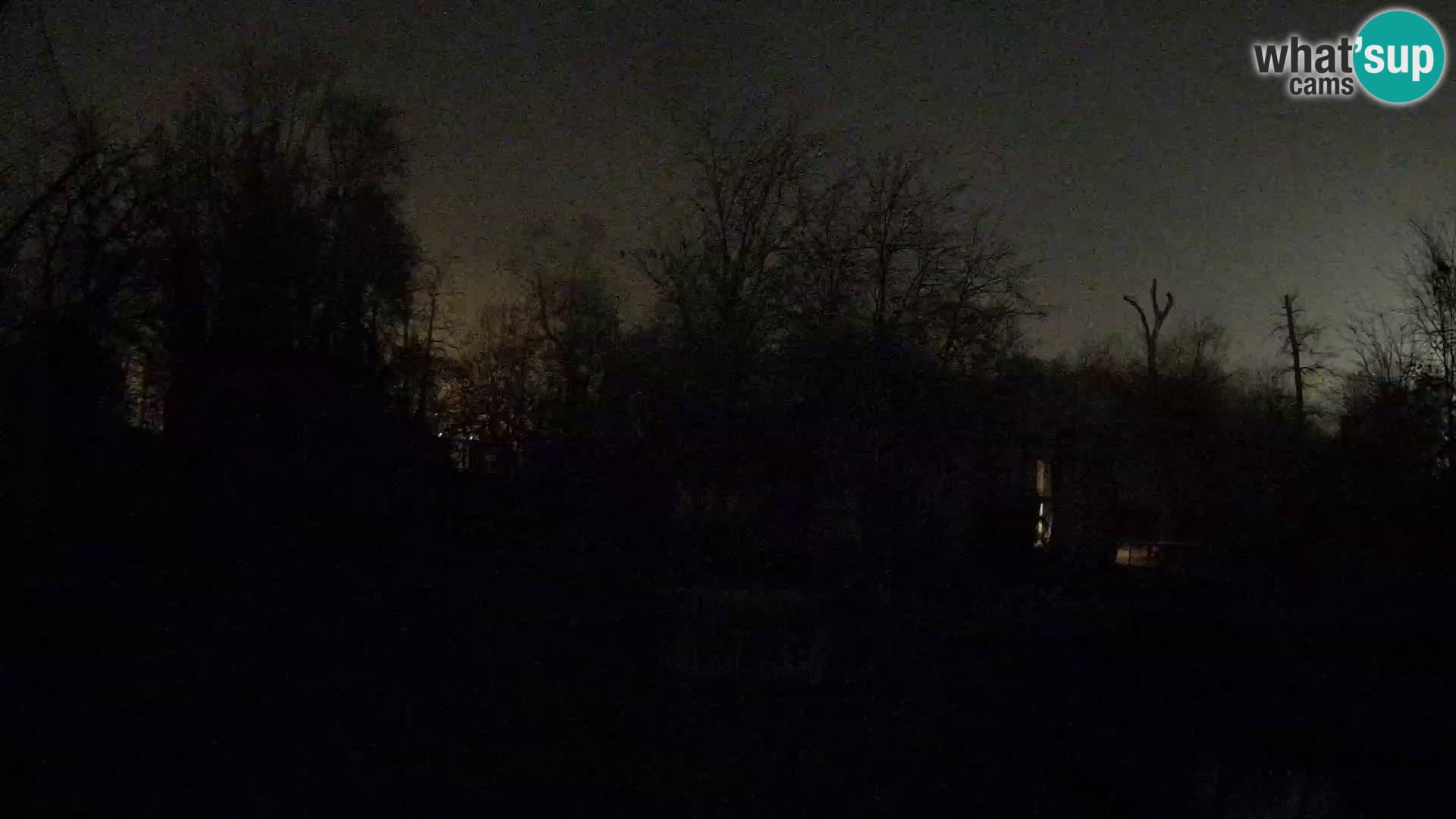 Spletna kamera Zoo Zagreb – Levi