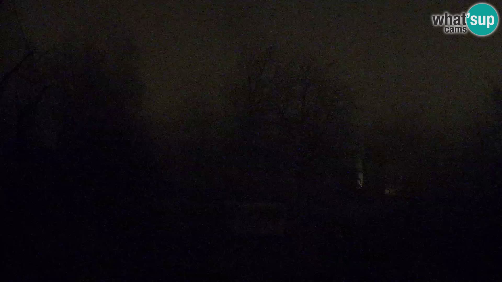 Zoo Zagreb – Lavovi