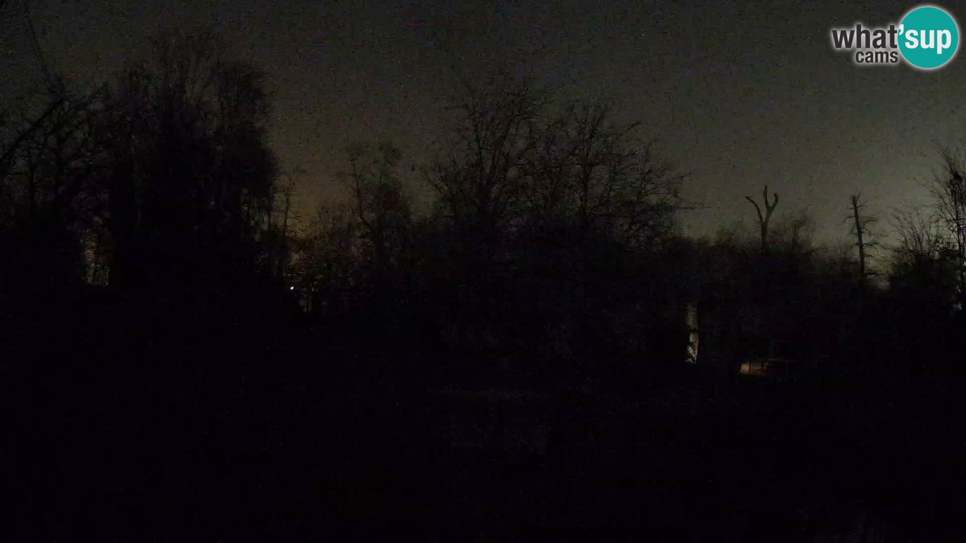 Zoo Zagreb – Leoni