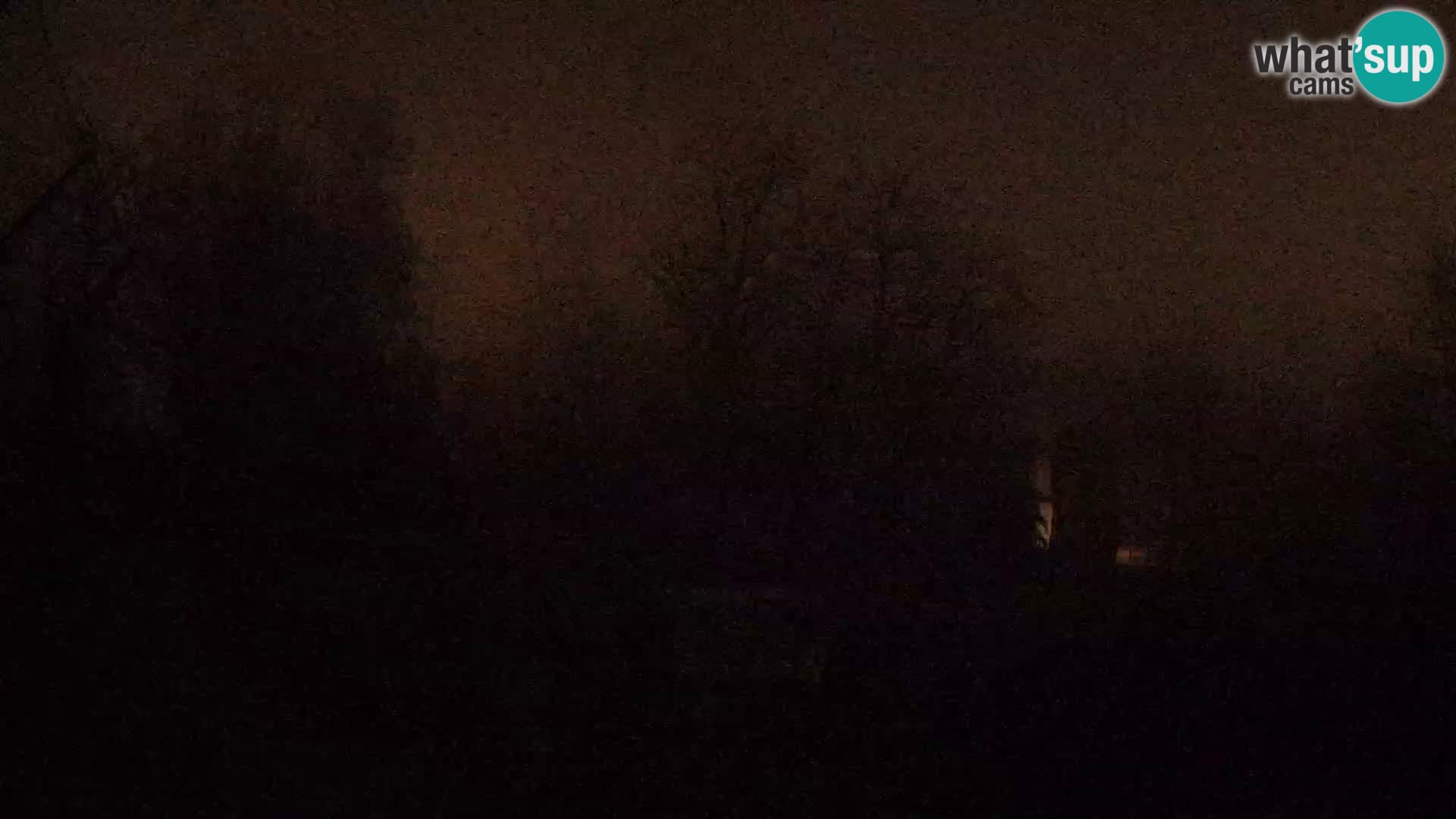 Zoo Zagreb – Leones