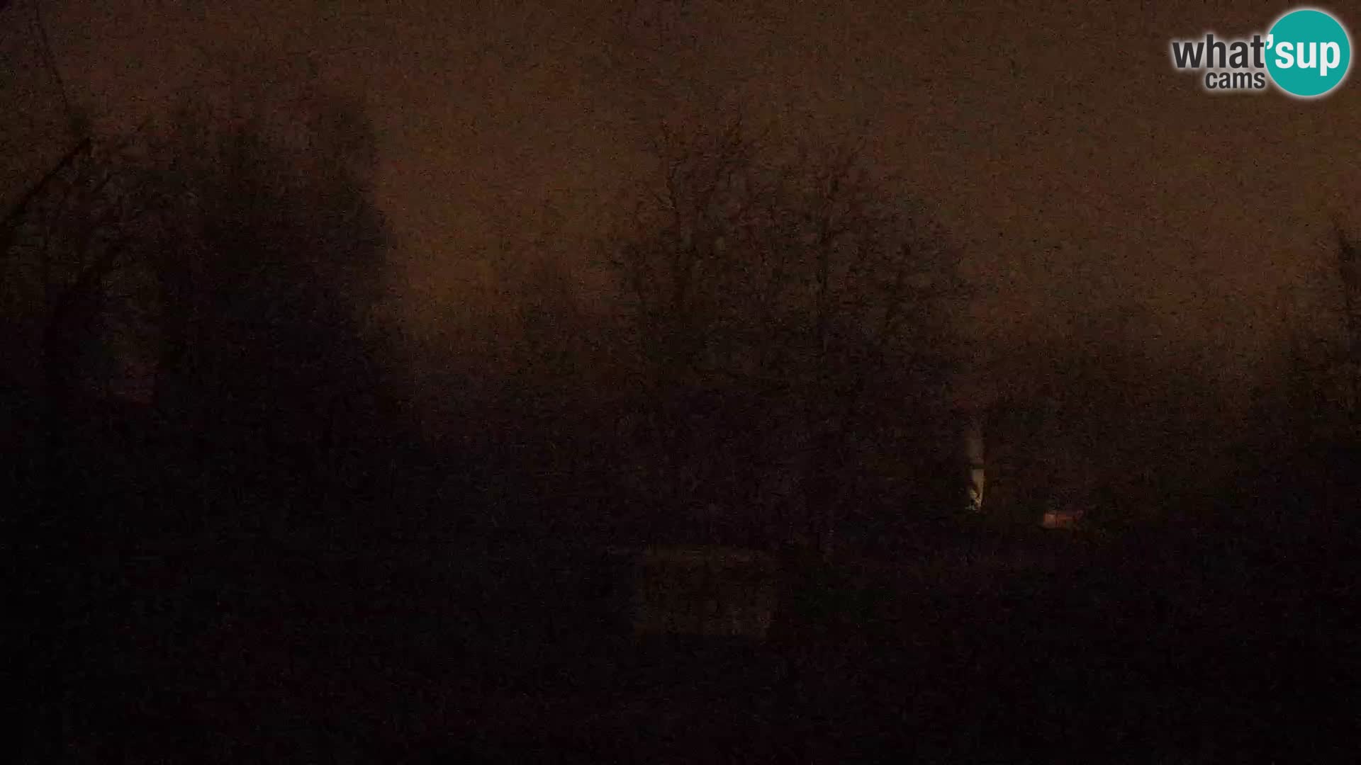 Zoo Zagreb – Löwen