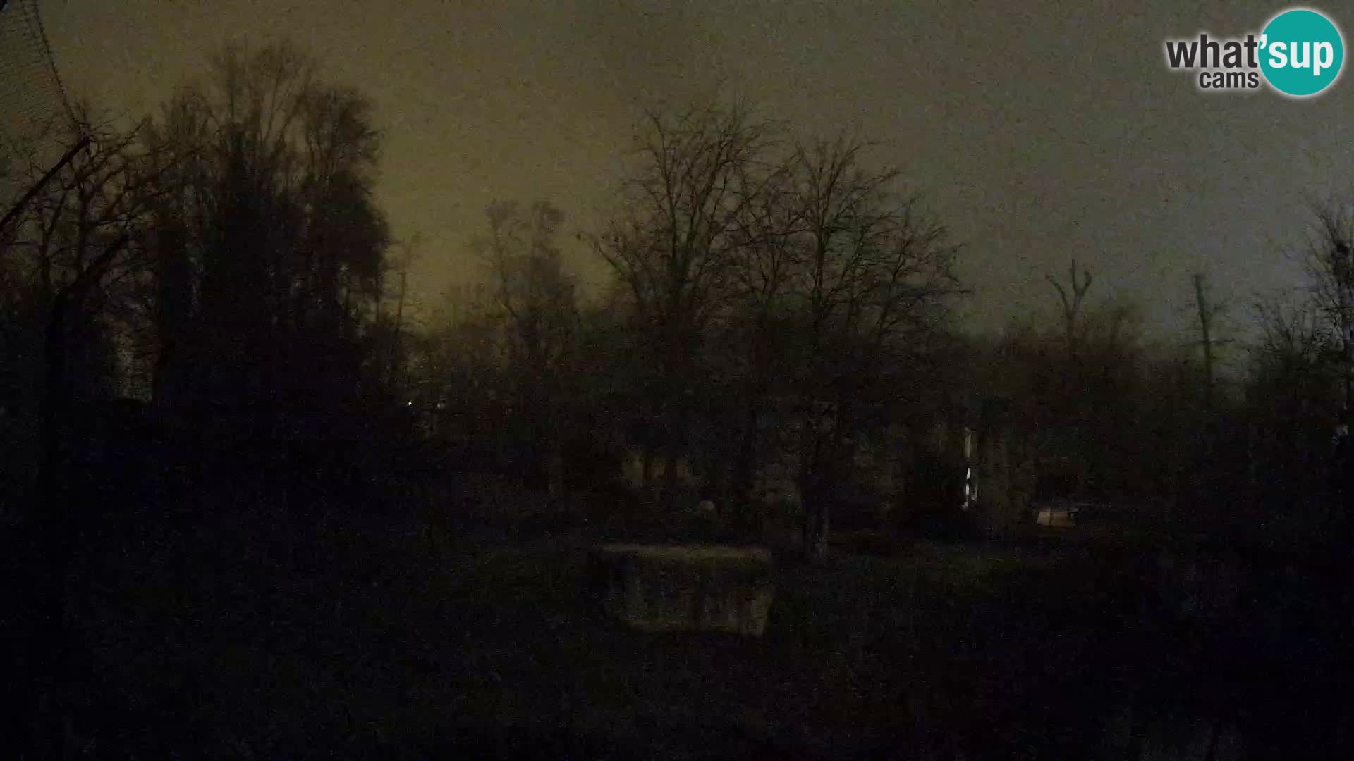 Zoo Zagreb – Leones