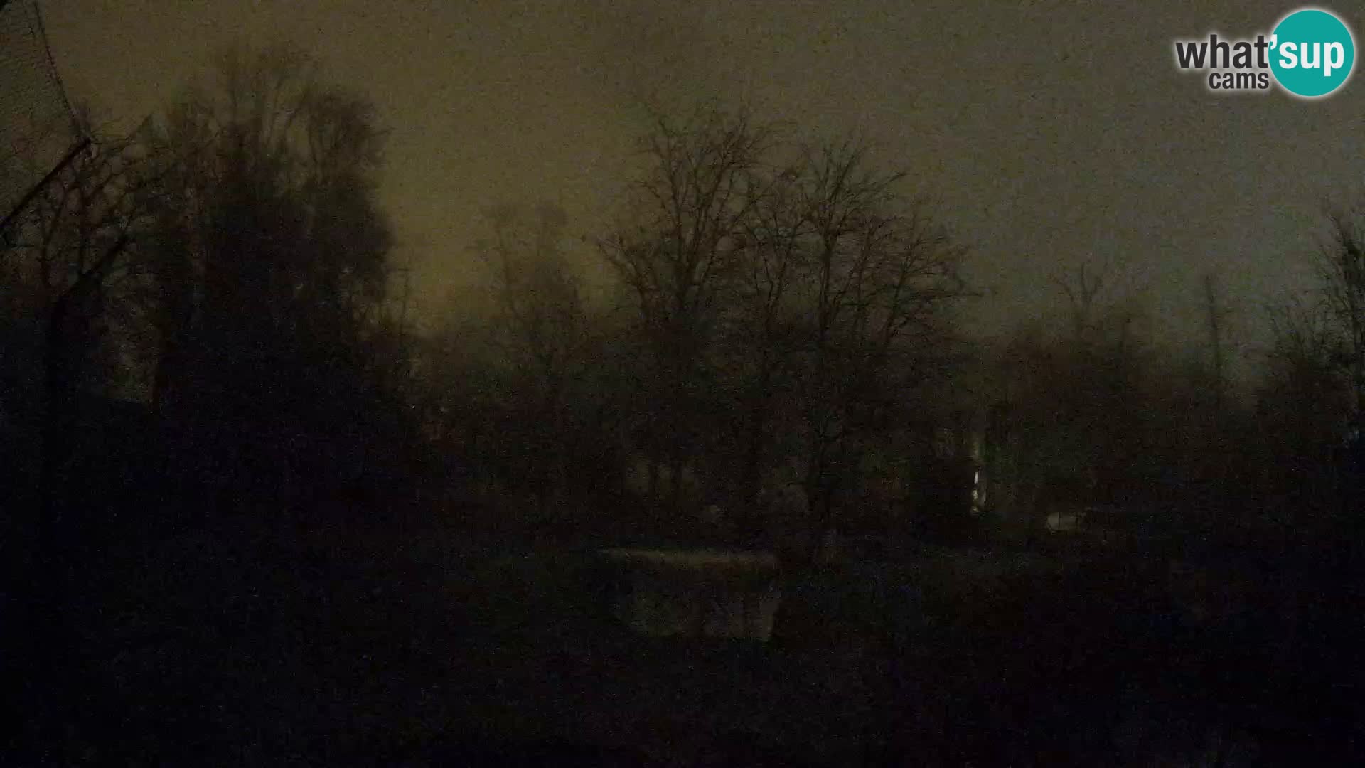 Spletna kamera Zoo Zagreb – Levi