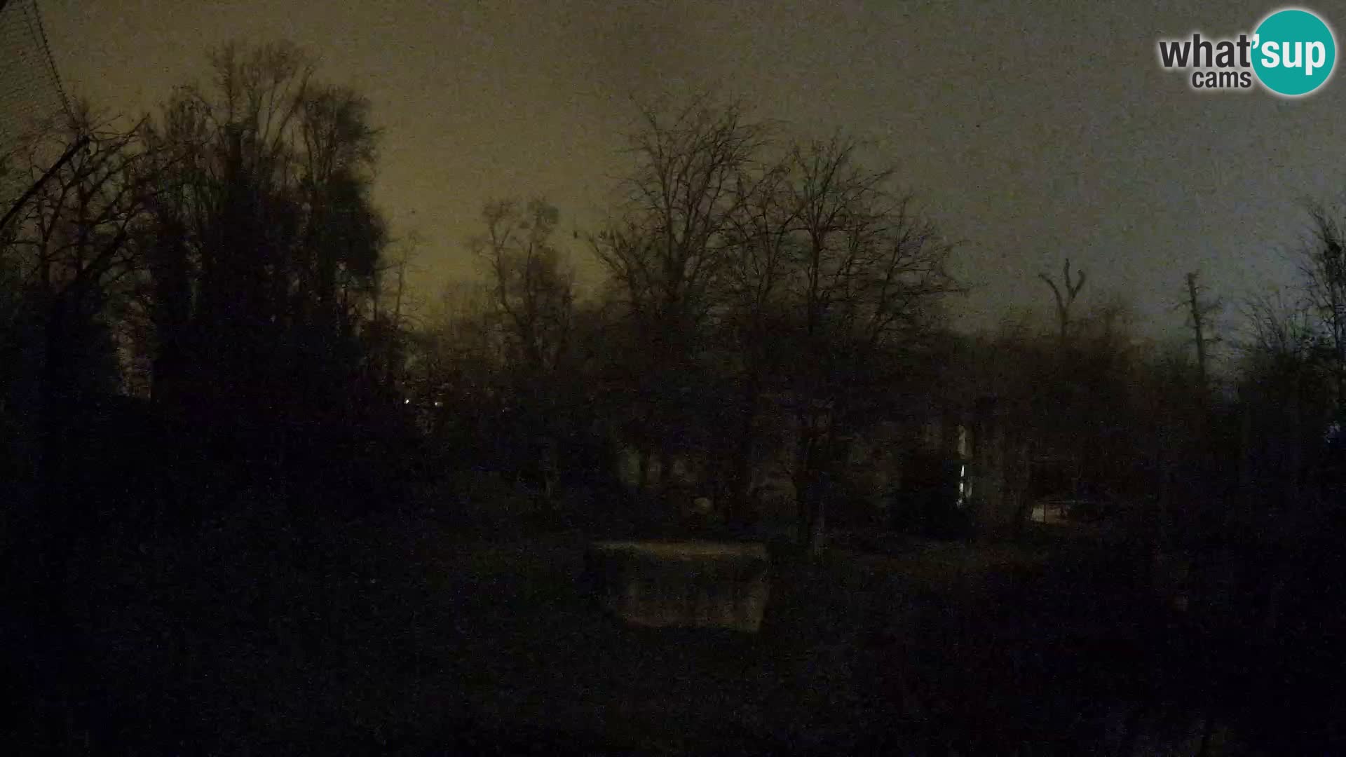 Spletna kamera Zoo Zagreb – Levi