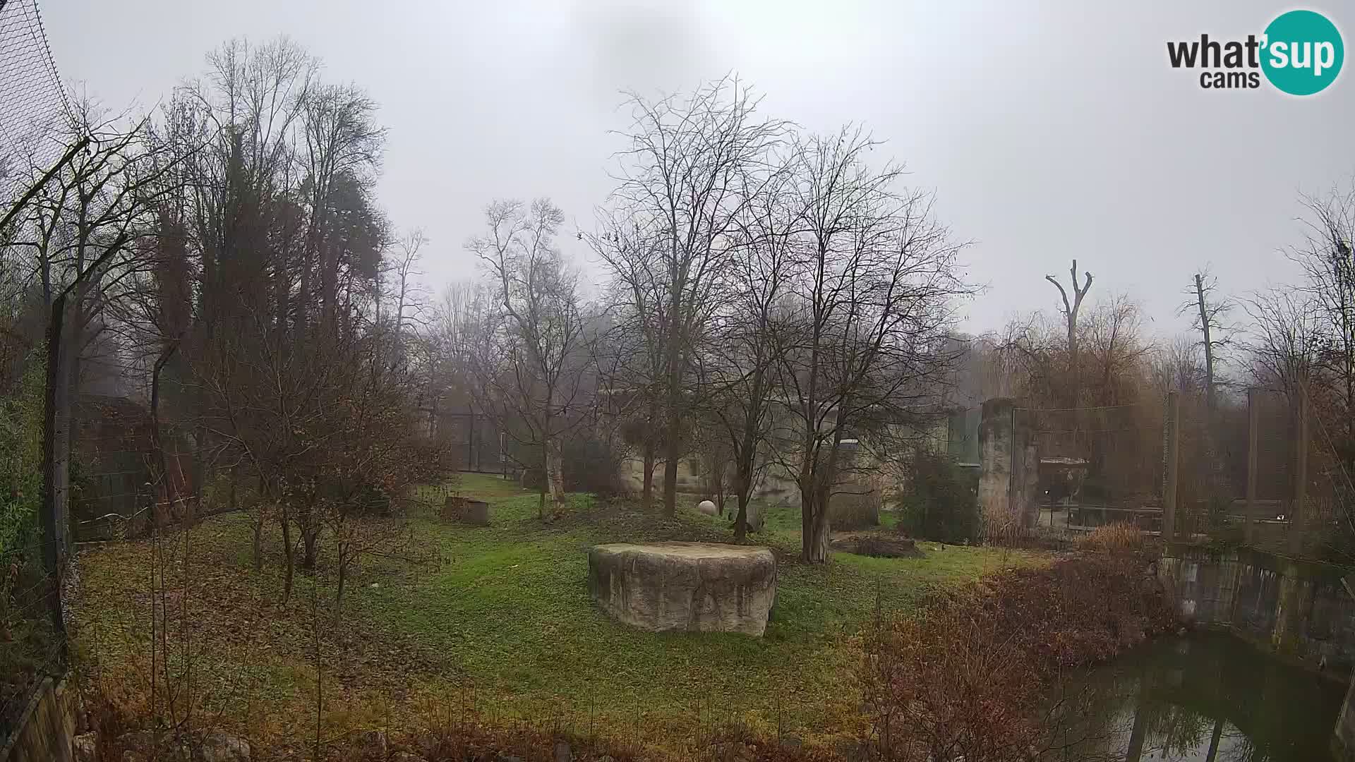 Zoo Zagreb – Leoni