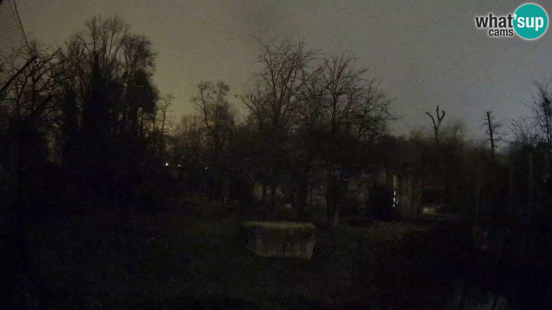 Zoo Zagreb – Leoni