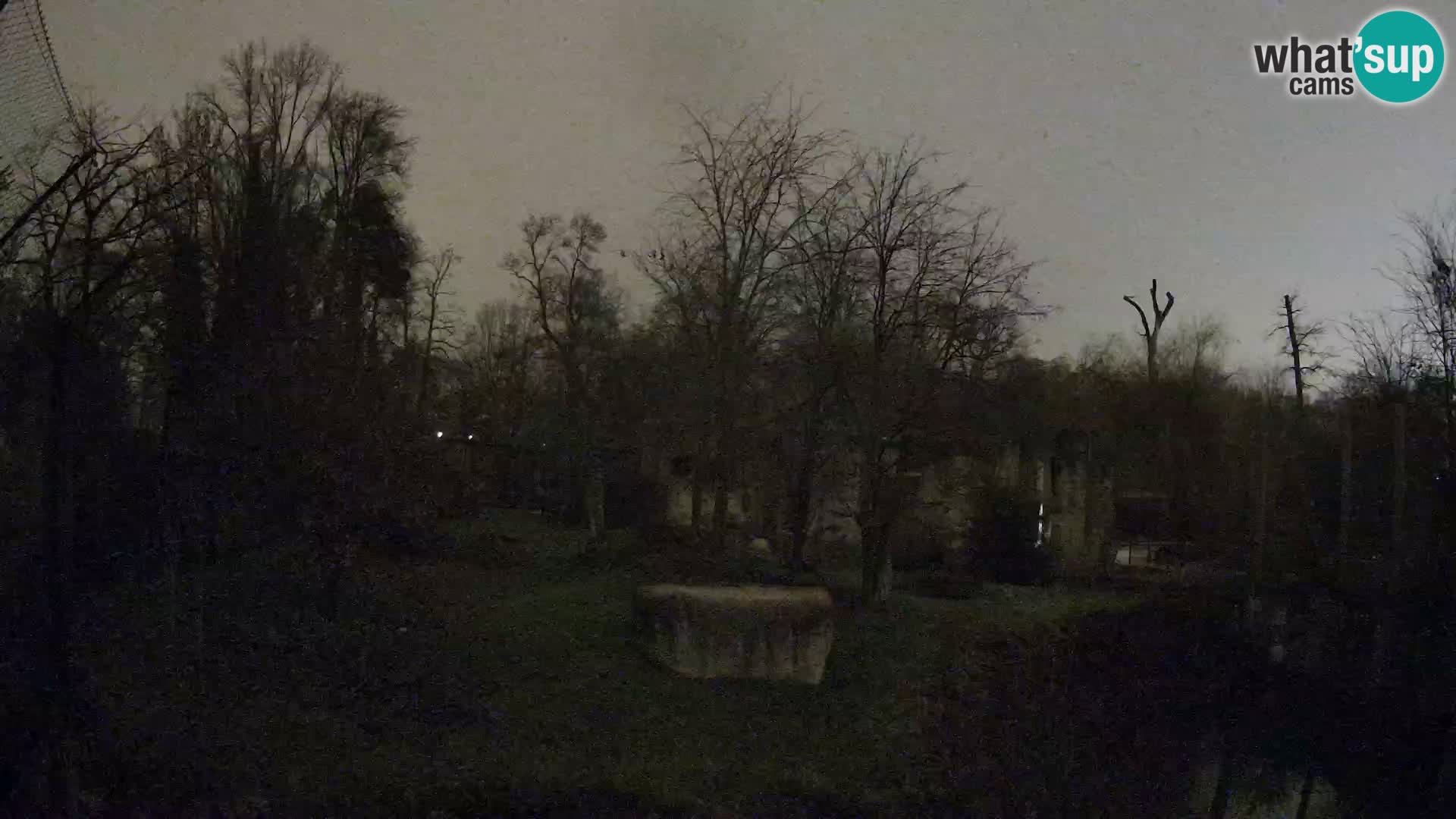 Zoo Zagreb – Leones