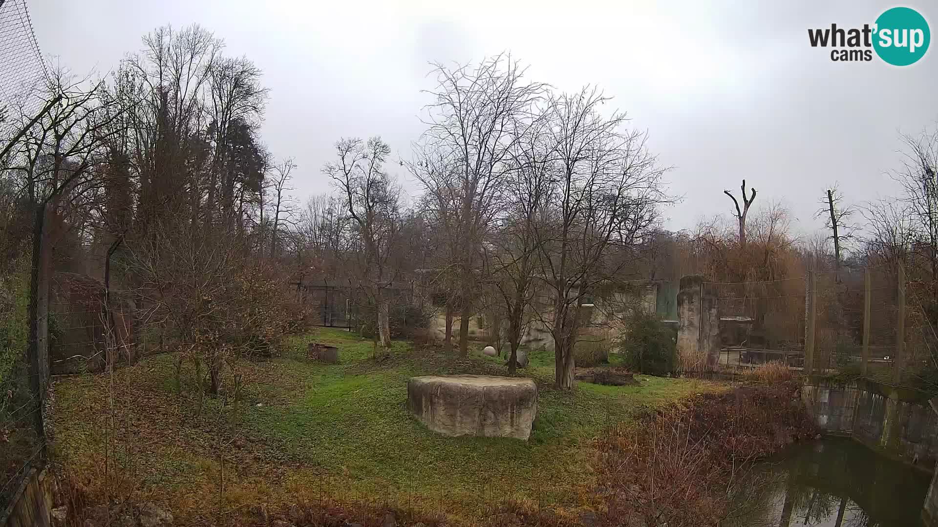 Zoo Zagreb – Leoni