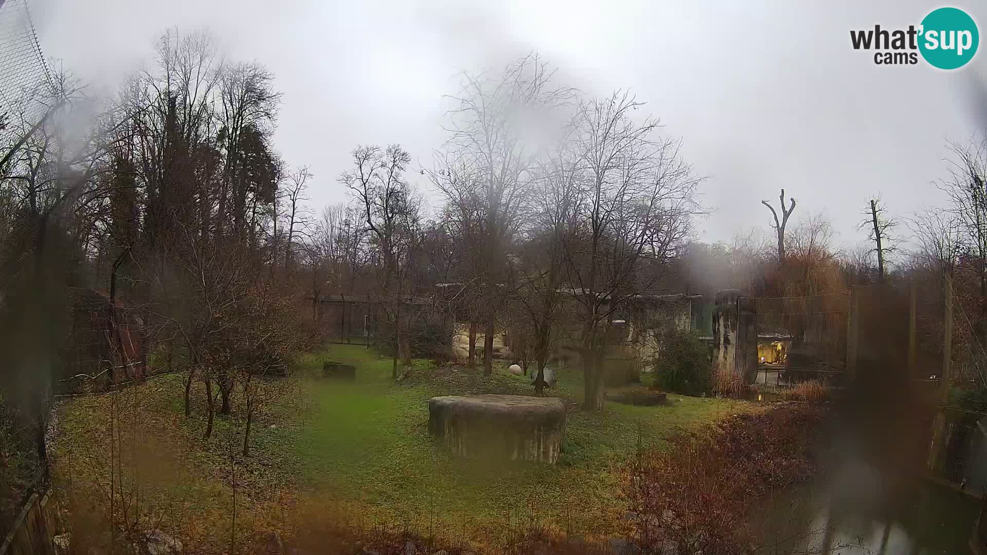 Zoo Zagreb – Löwen