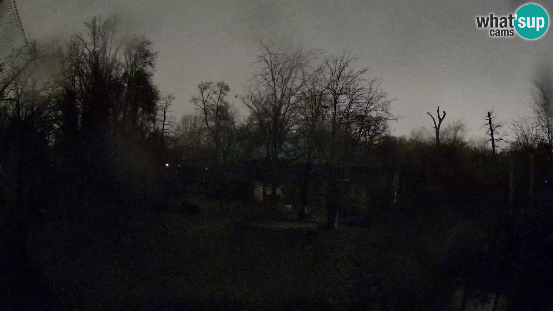 Zoo Zagreb – Löwen