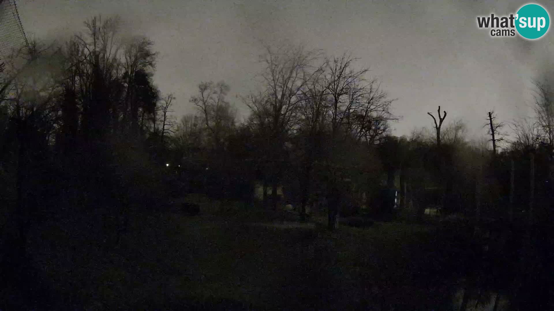 Zoo Zagreb – Leones