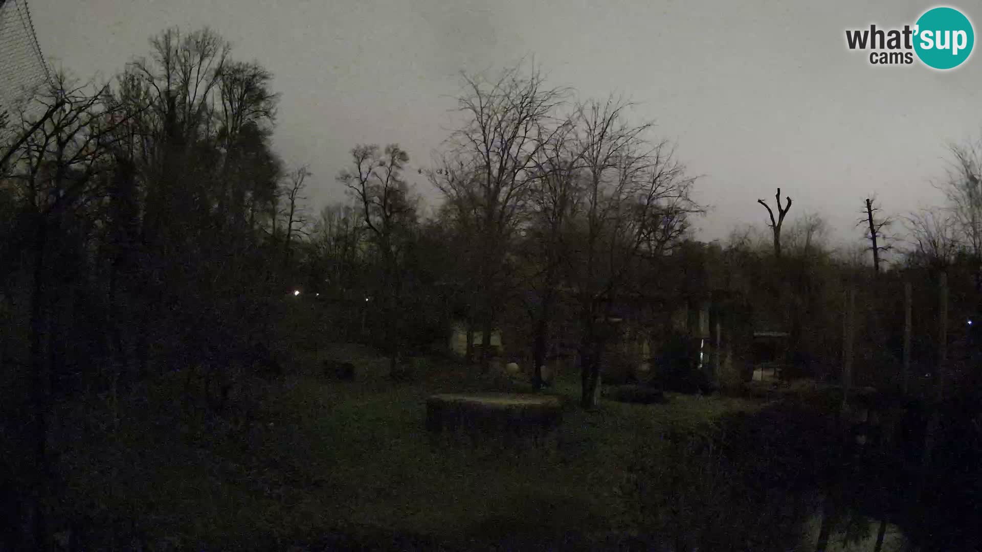 Zoo Zagreb – Löwen