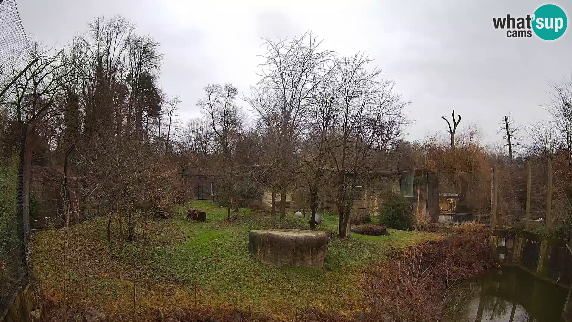 Zoo Zagreb – Löwen