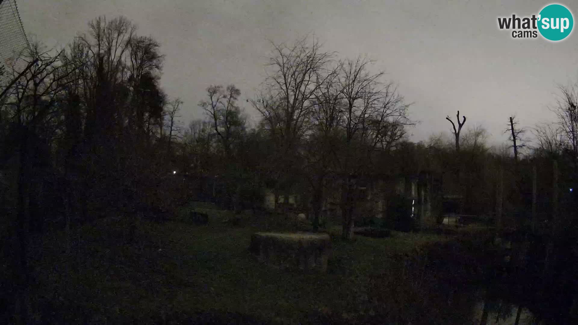 Spletna kamera Zoo Zagreb – Levi