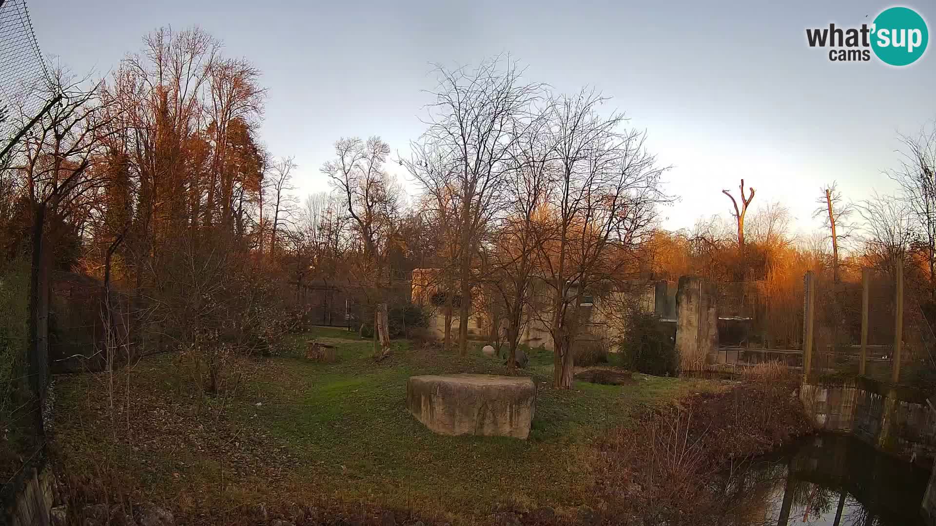 Zoo Zagreb – Leoni