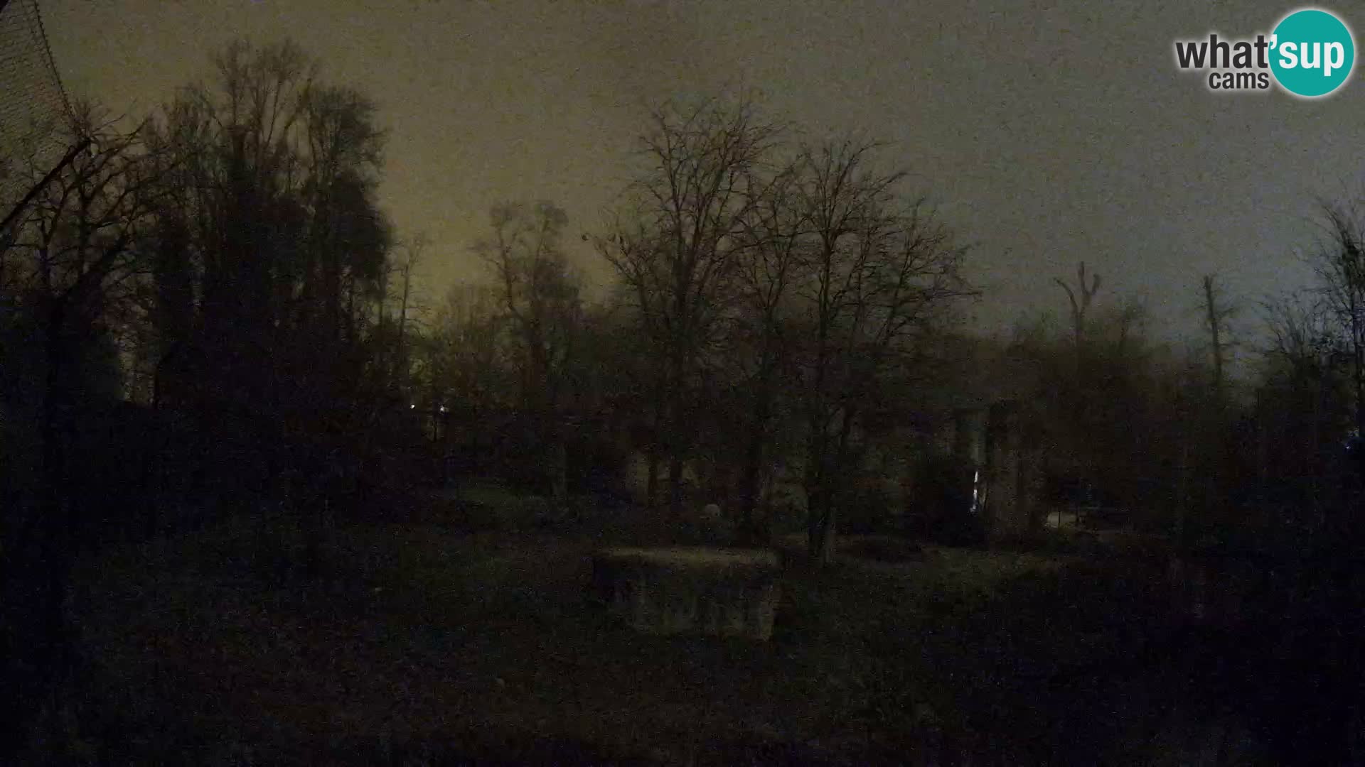 Zoo Zagreb – Löwen