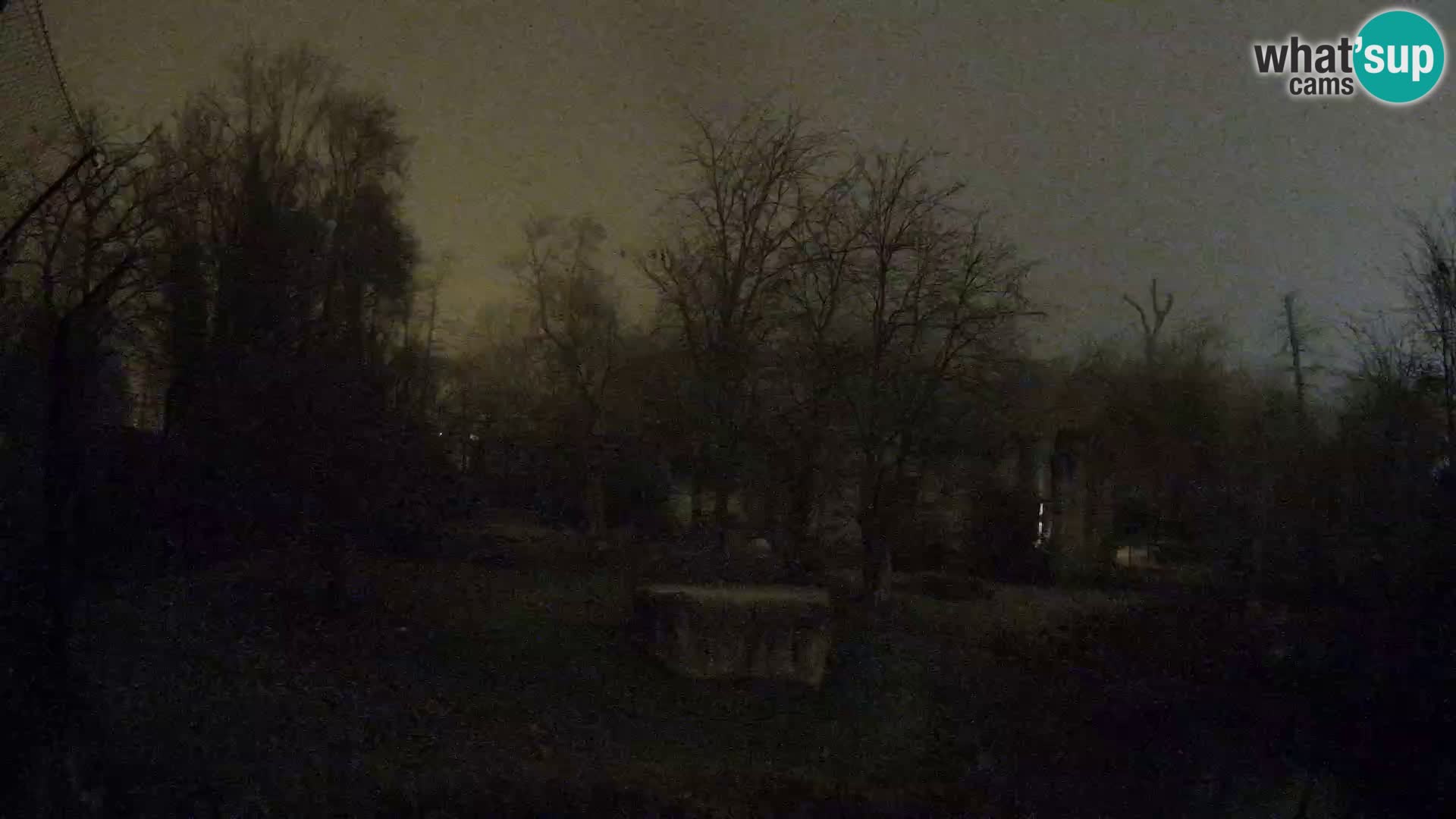 Zoo Zagreb – Löwen