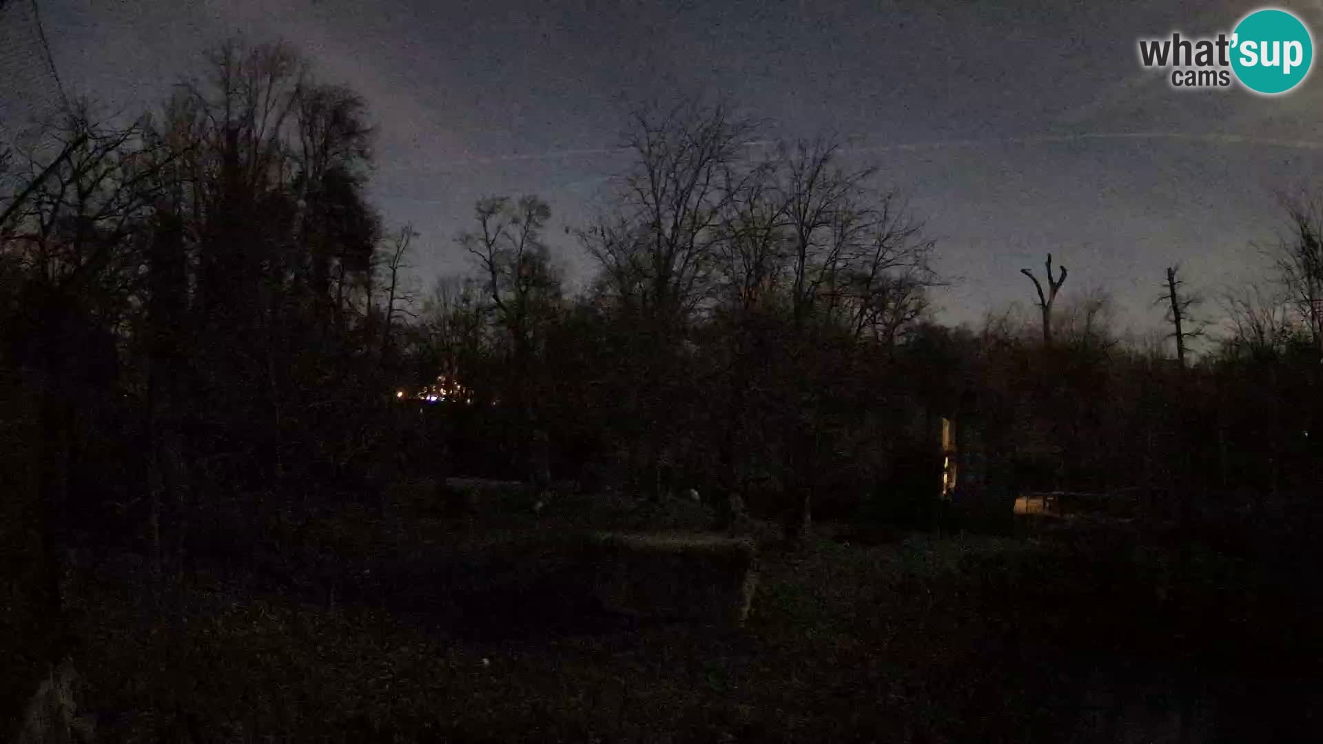 Zoo Zagreb – Leoni