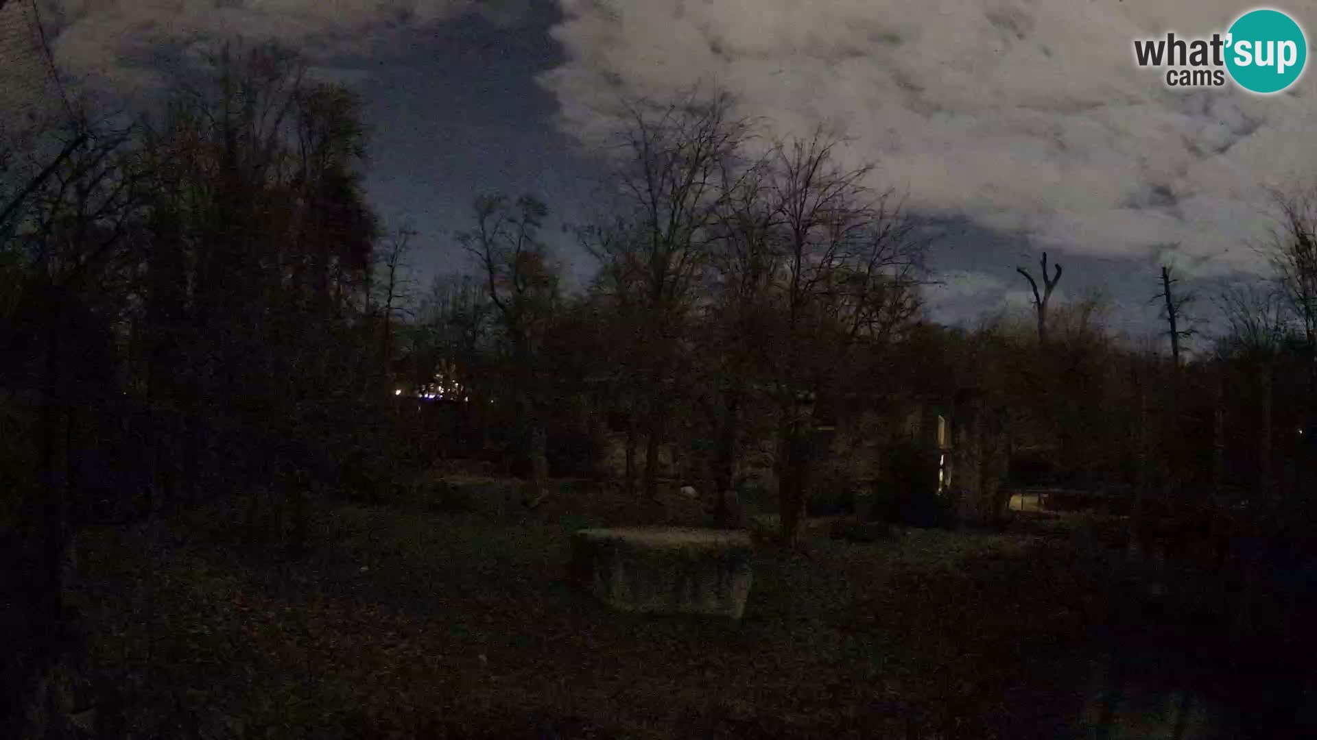 Zoo Zagreb – Leoni