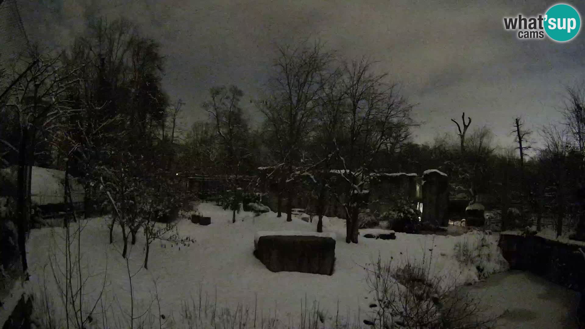 Zoo Zagreb – Leoni