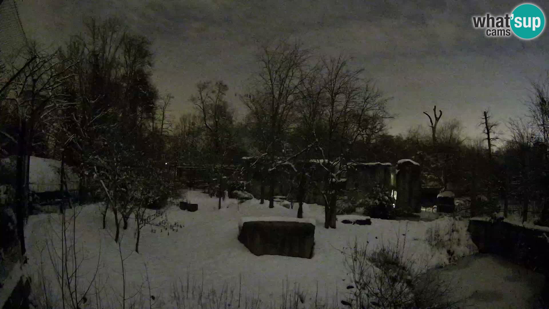 Zoo Zagreb – Leones