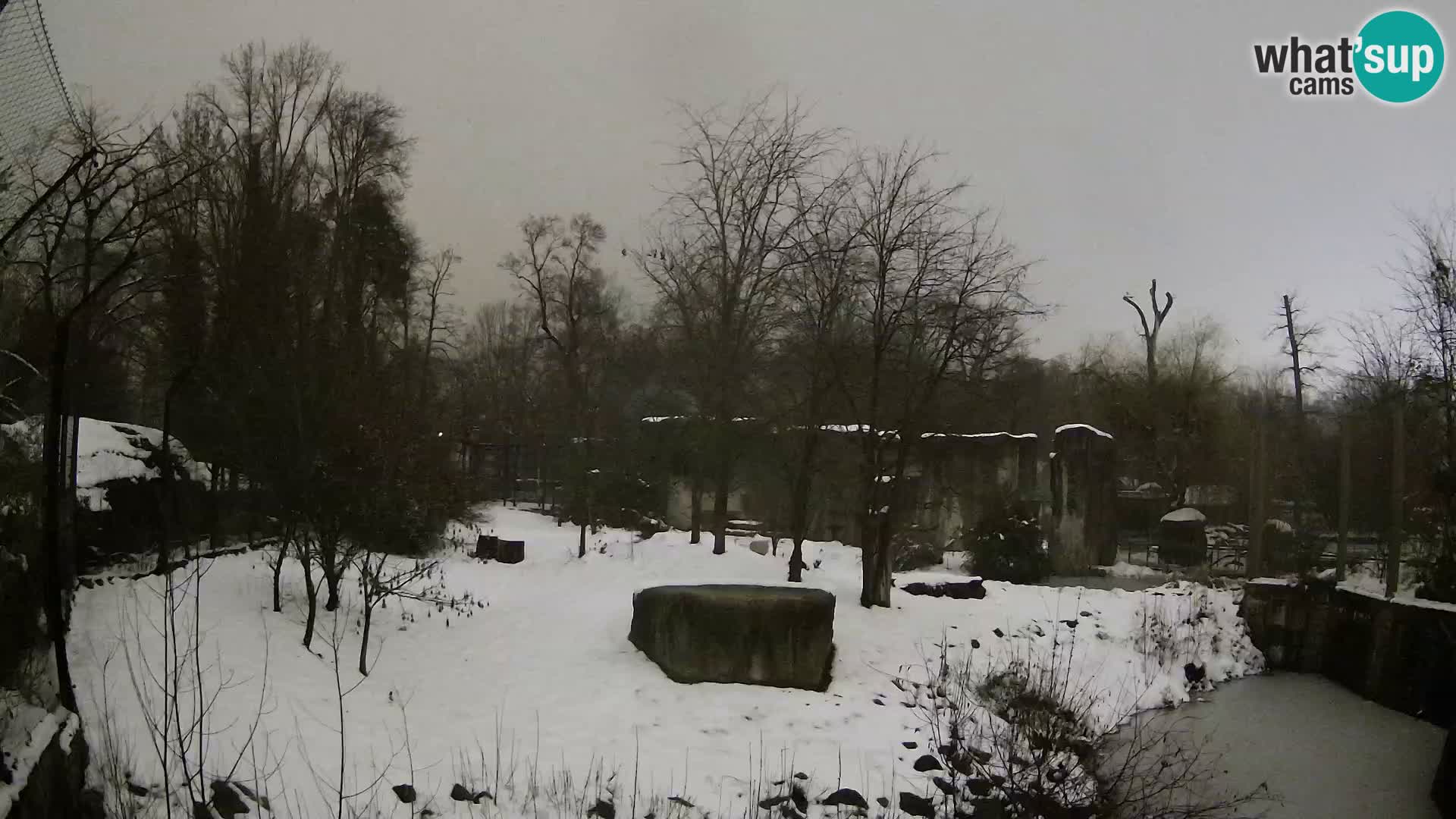 Zoo Zagreb – Leoni